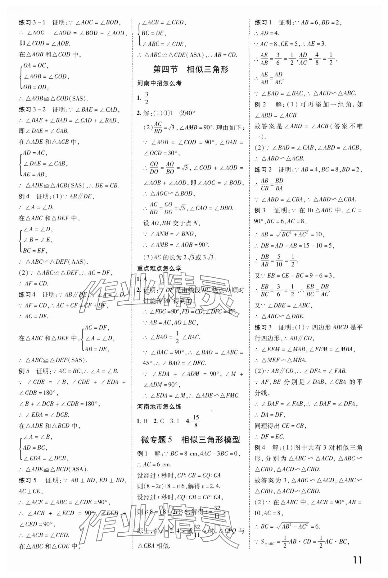 2024年領(lǐng)揚(yáng)文化中考研究數(shù)學(xué)人教版河南專版 參考答案第10頁(yè)