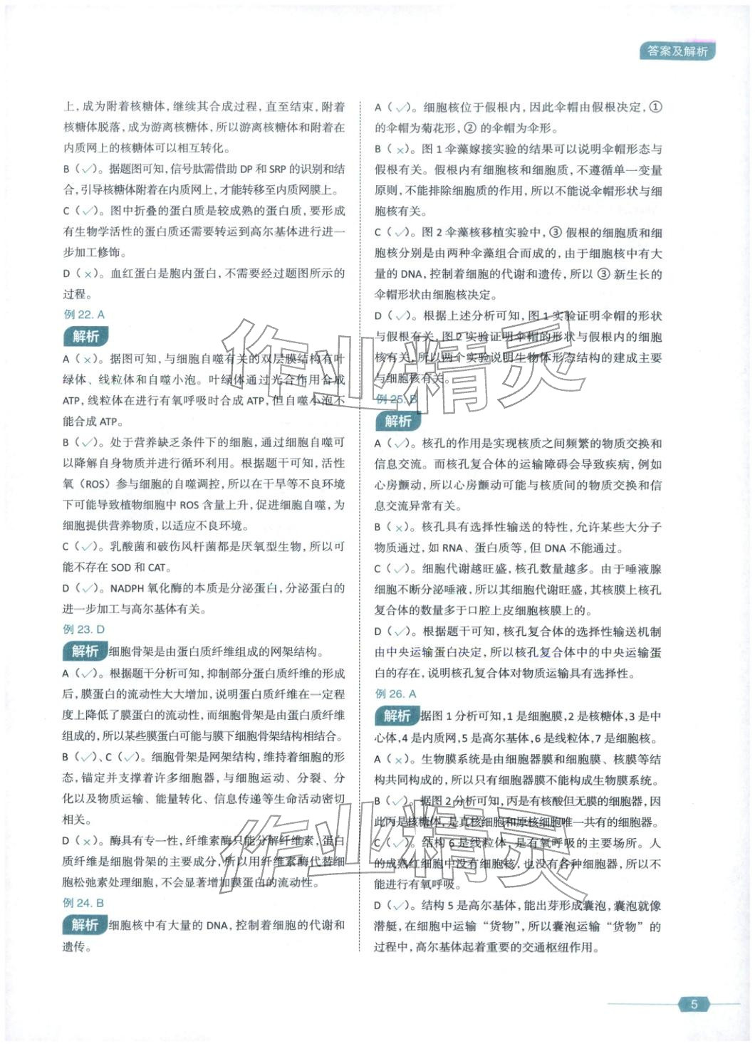 2026年生物笔记生物&nbsp;第5页