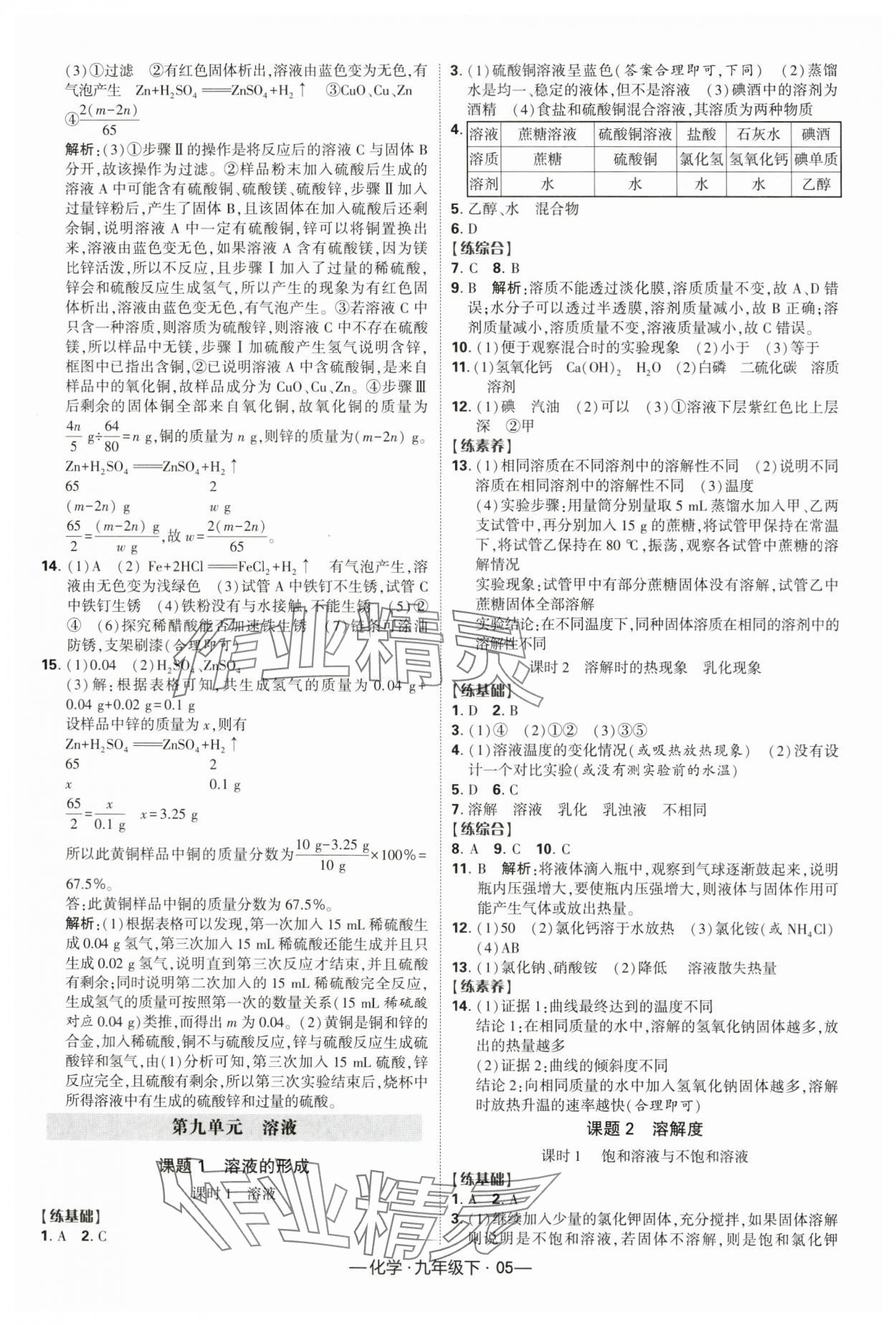 2024年經(jīng)綸學(xué)典課時作業(yè)九年級化學(xué)下冊人教版 第5頁