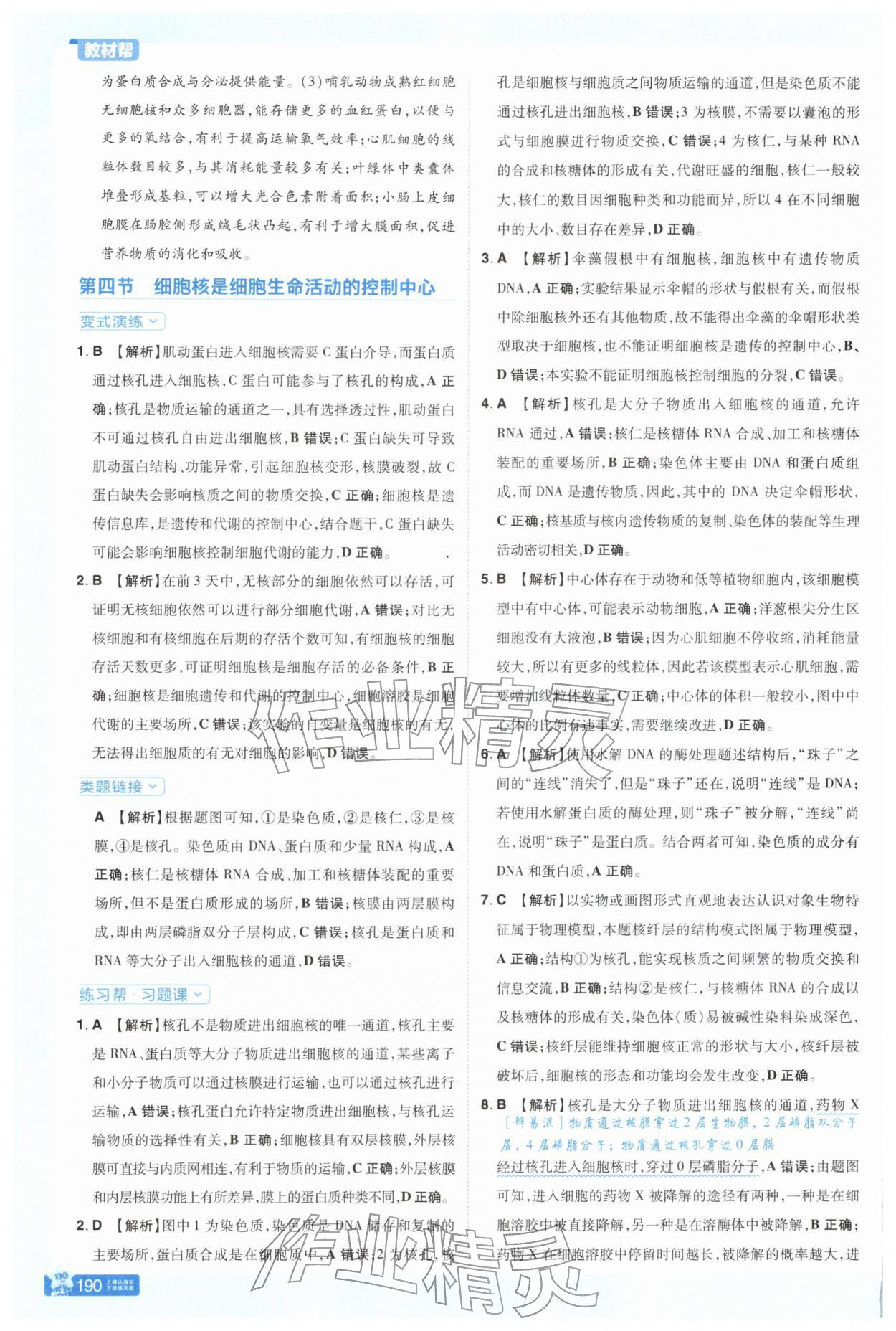 2025年教材幫高中生物必修1浙科版 參考答案第9頁