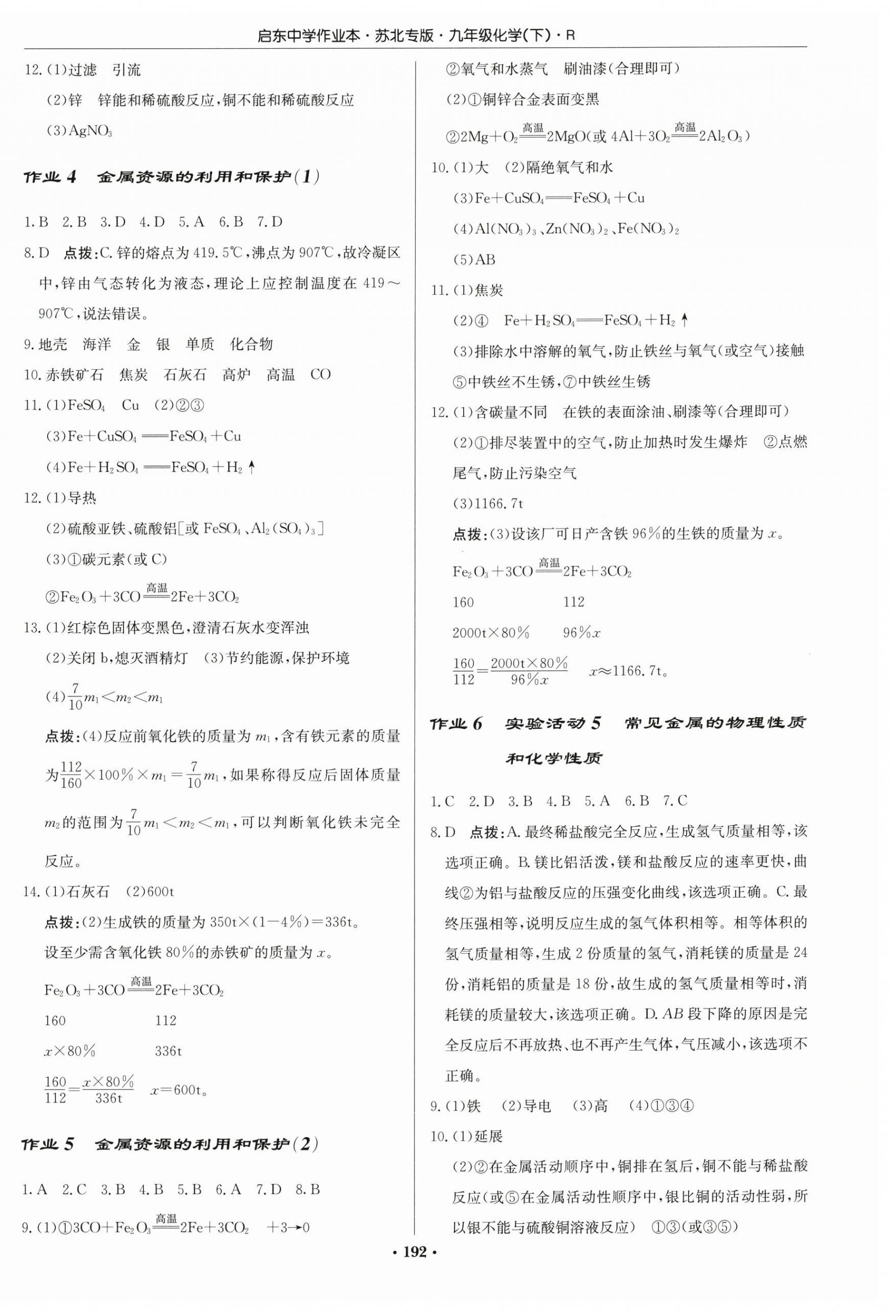 2025年啟東中學(xué)作業(yè)本九年級化學(xué)下冊人教版蘇北專版 第2頁