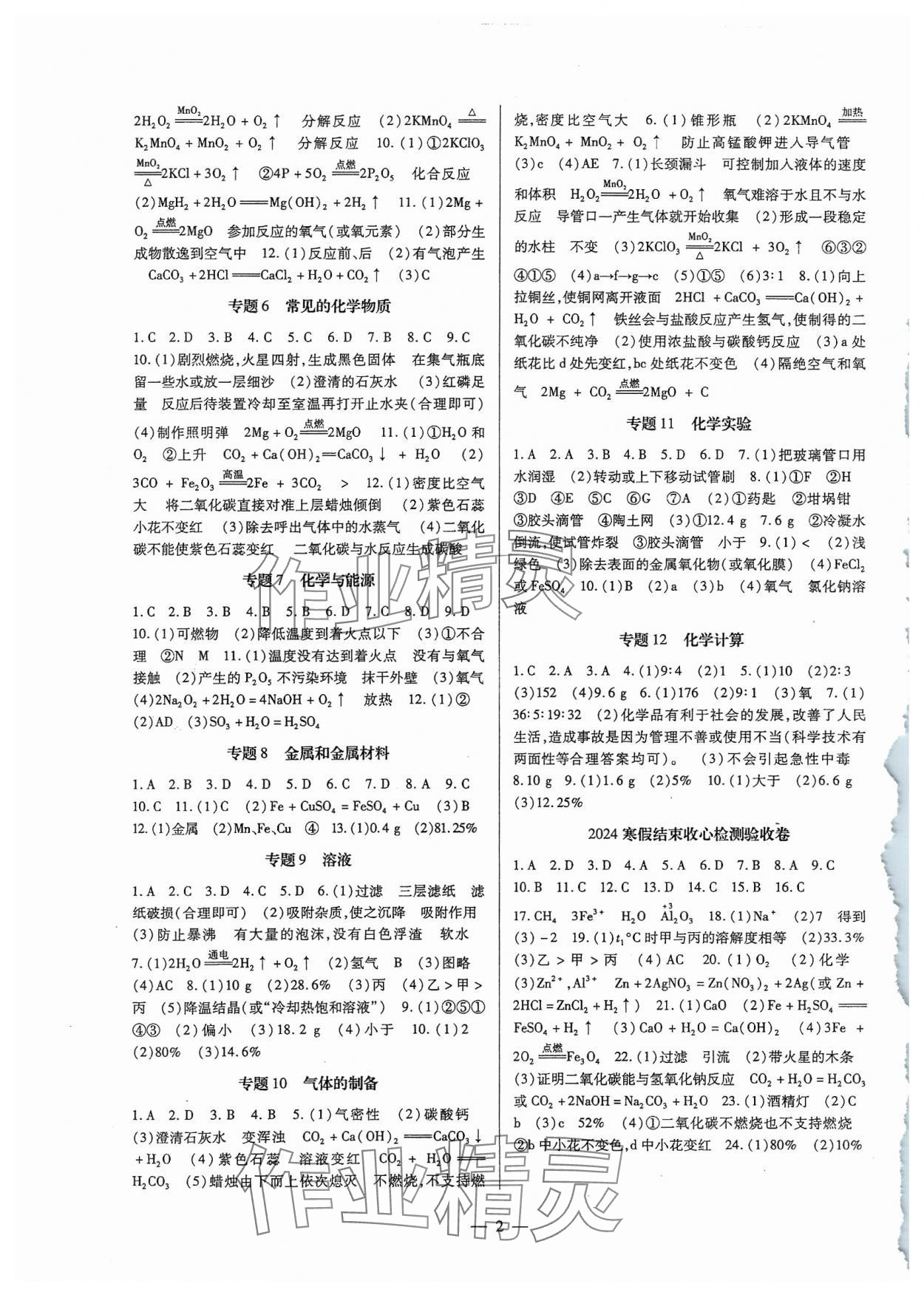 2024年課時精練九年級化學(xué)下冊人教版 第2頁