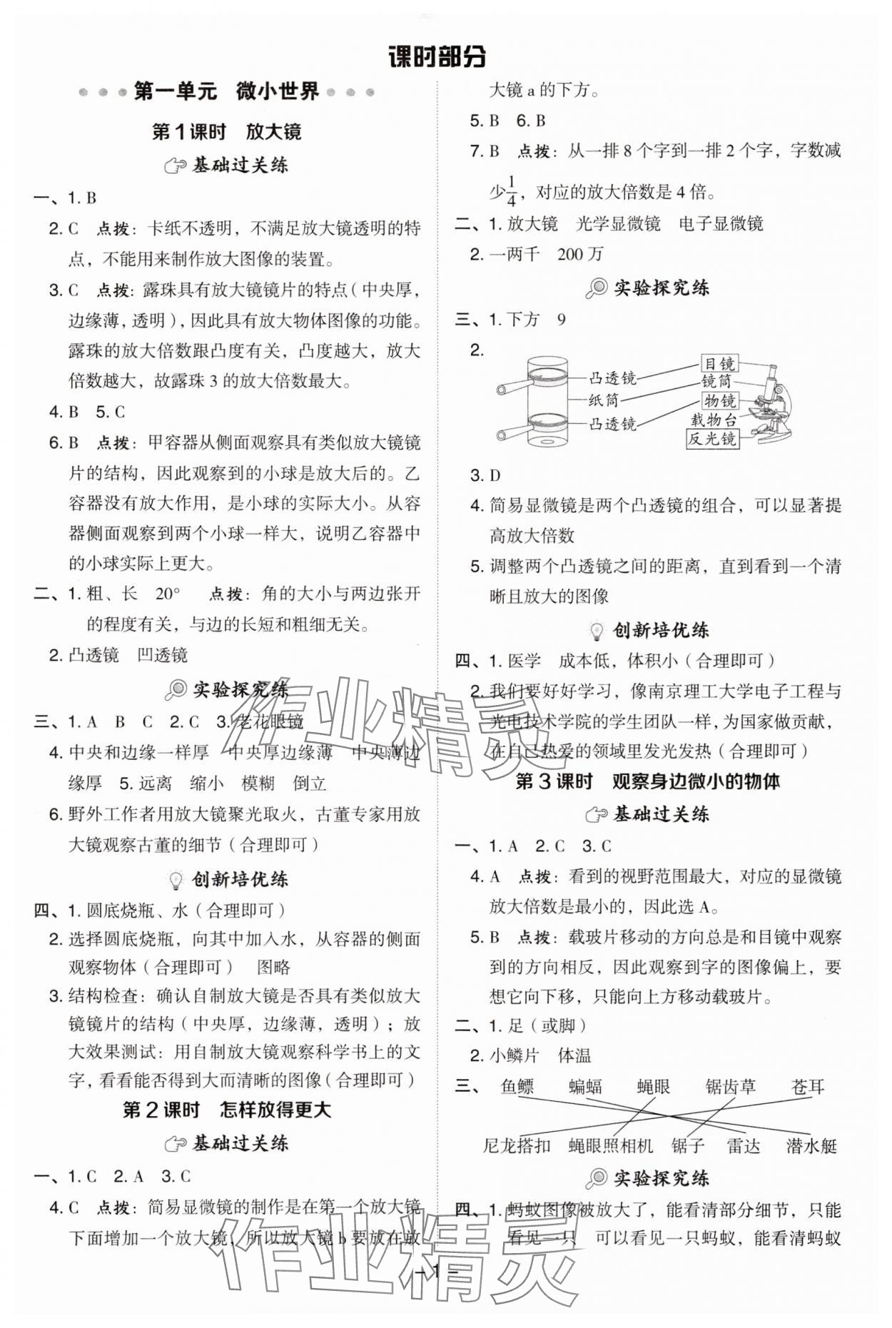 2025年綜合應用創(chuàng)新題典中點六年級科學上冊教科版 參考答案第1頁