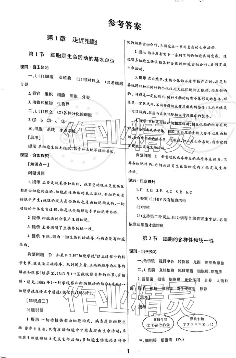 2023年同步練習(xí)冊(cè)人民教育出版社高中生物必修1人教版 參考答案第1頁(yè)