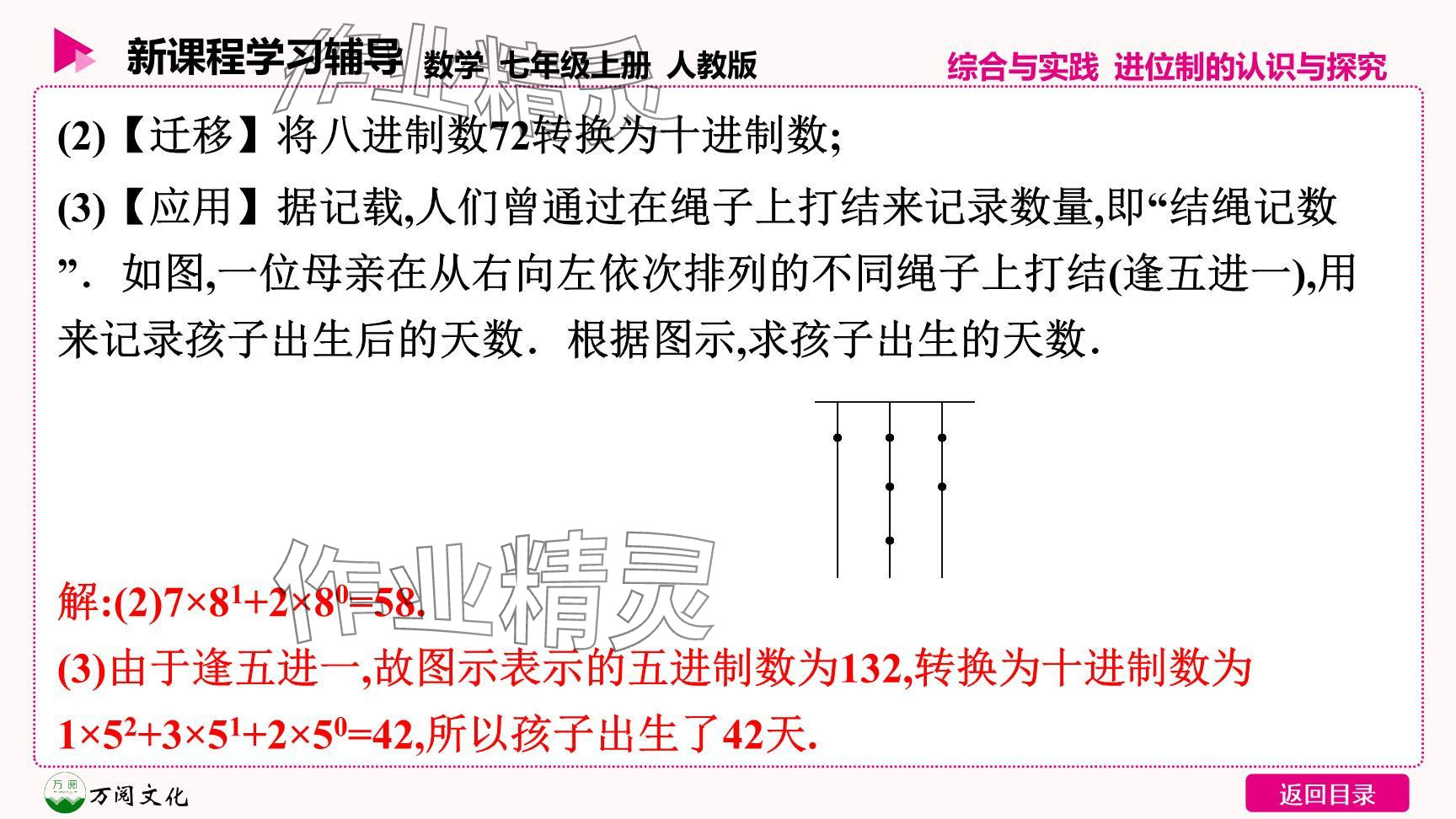 2024年新課程學習輔導七年級數學上冊人教版 參考答案第16頁