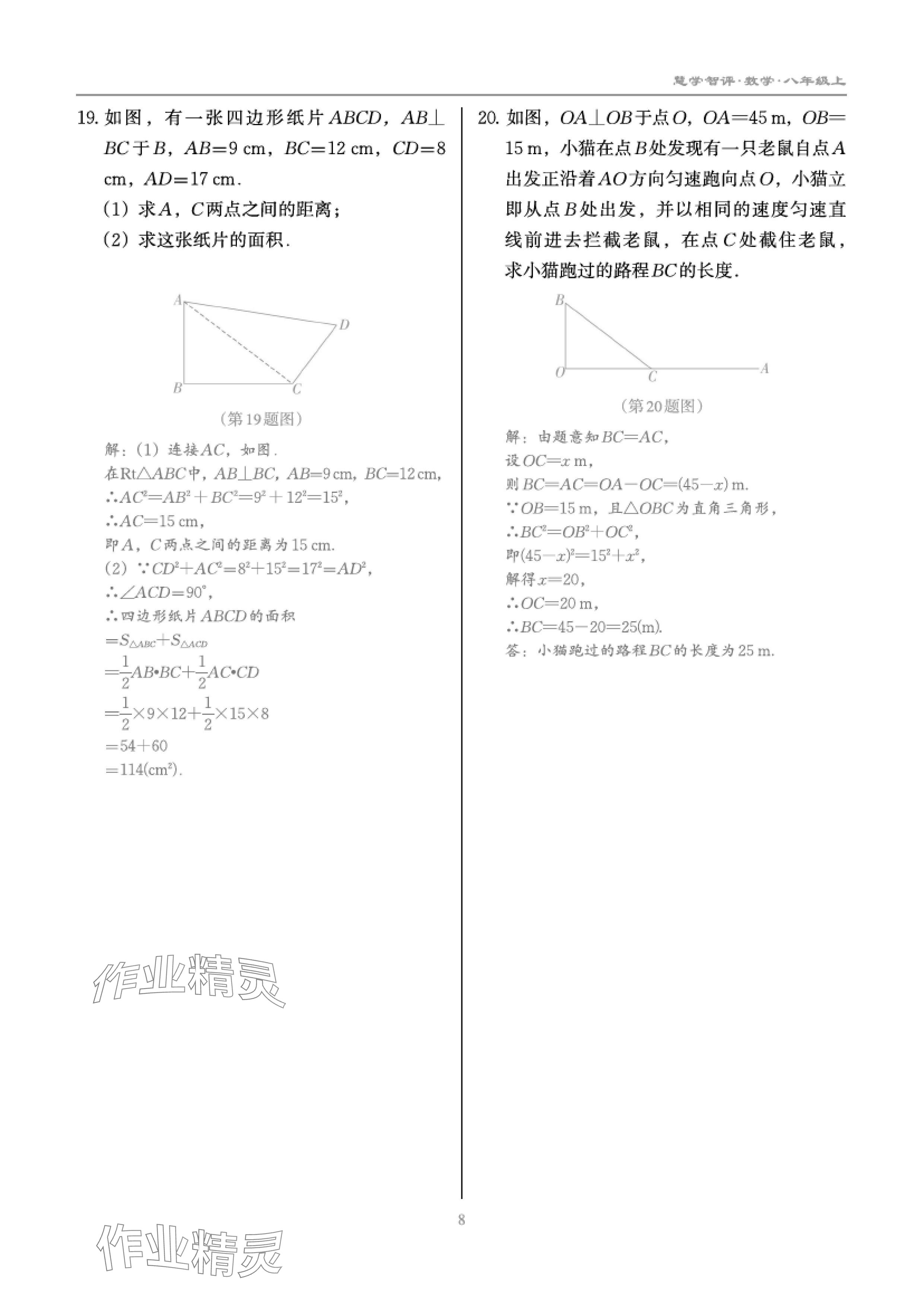 2024年慧學智評八年級數學上冊北師大版 參考答案第14頁