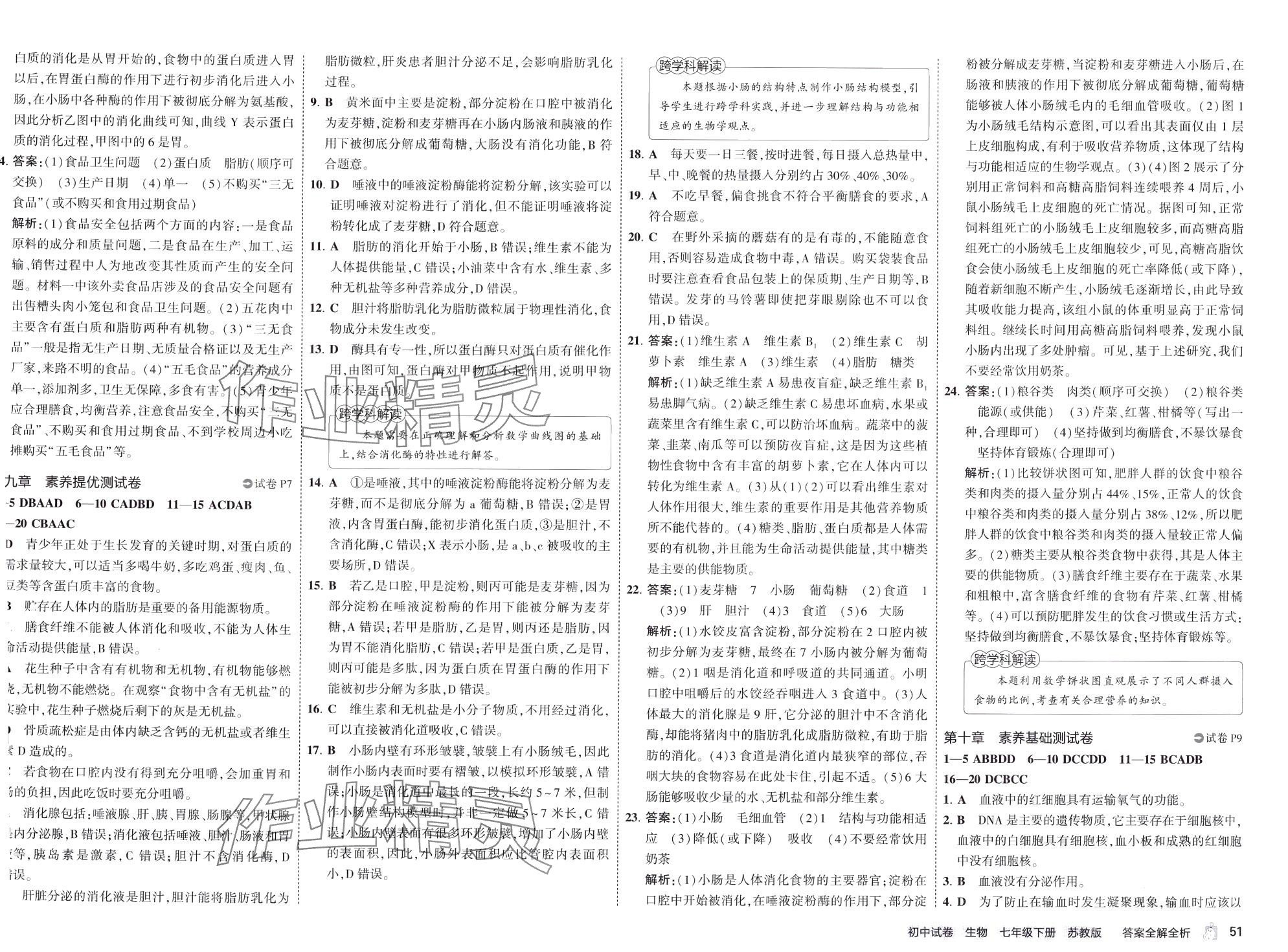 2024年5年中考3年模擬初中試卷七年級(jí)生物下冊(cè)蘇教版 第3頁