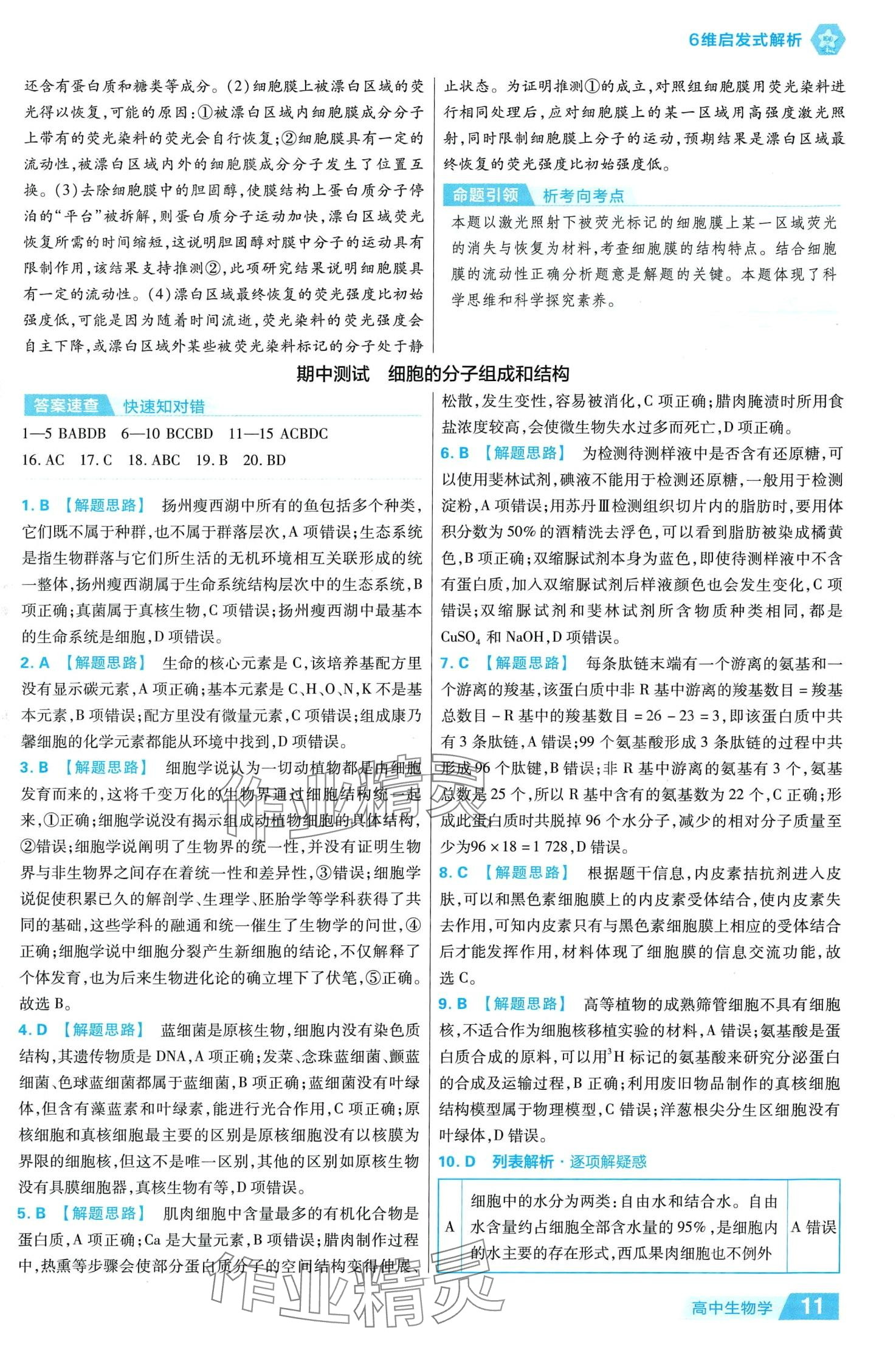 2024年金考卷活頁題選高中生物必修1人教版 參考答案第11頁