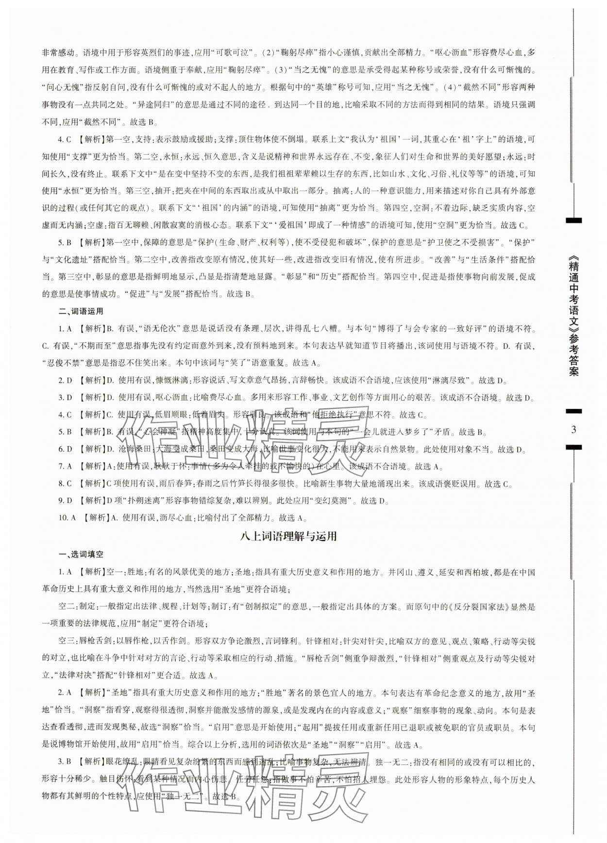 2025年精通中考語(yǔ)文基礎(chǔ)知識(shí)與試卷訓(xùn)練 參考答案第3頁(yè)