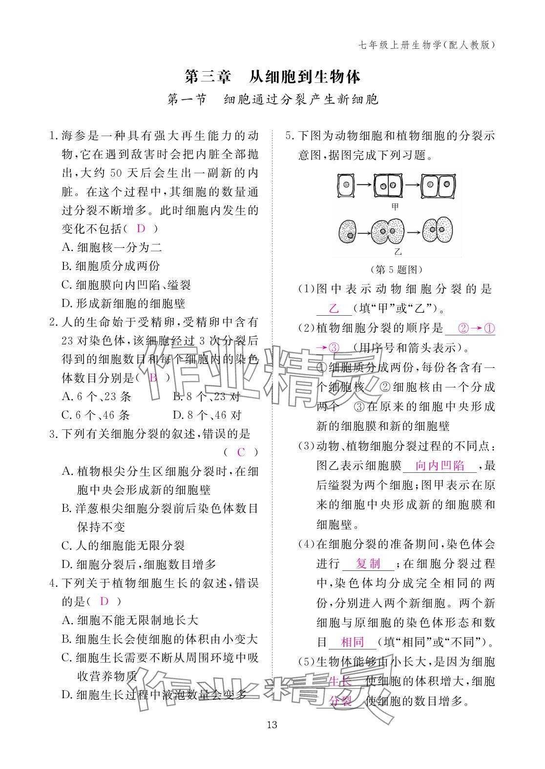 2025年作业本江西教育出版社七年级生物上册人教版 参考答案第13页