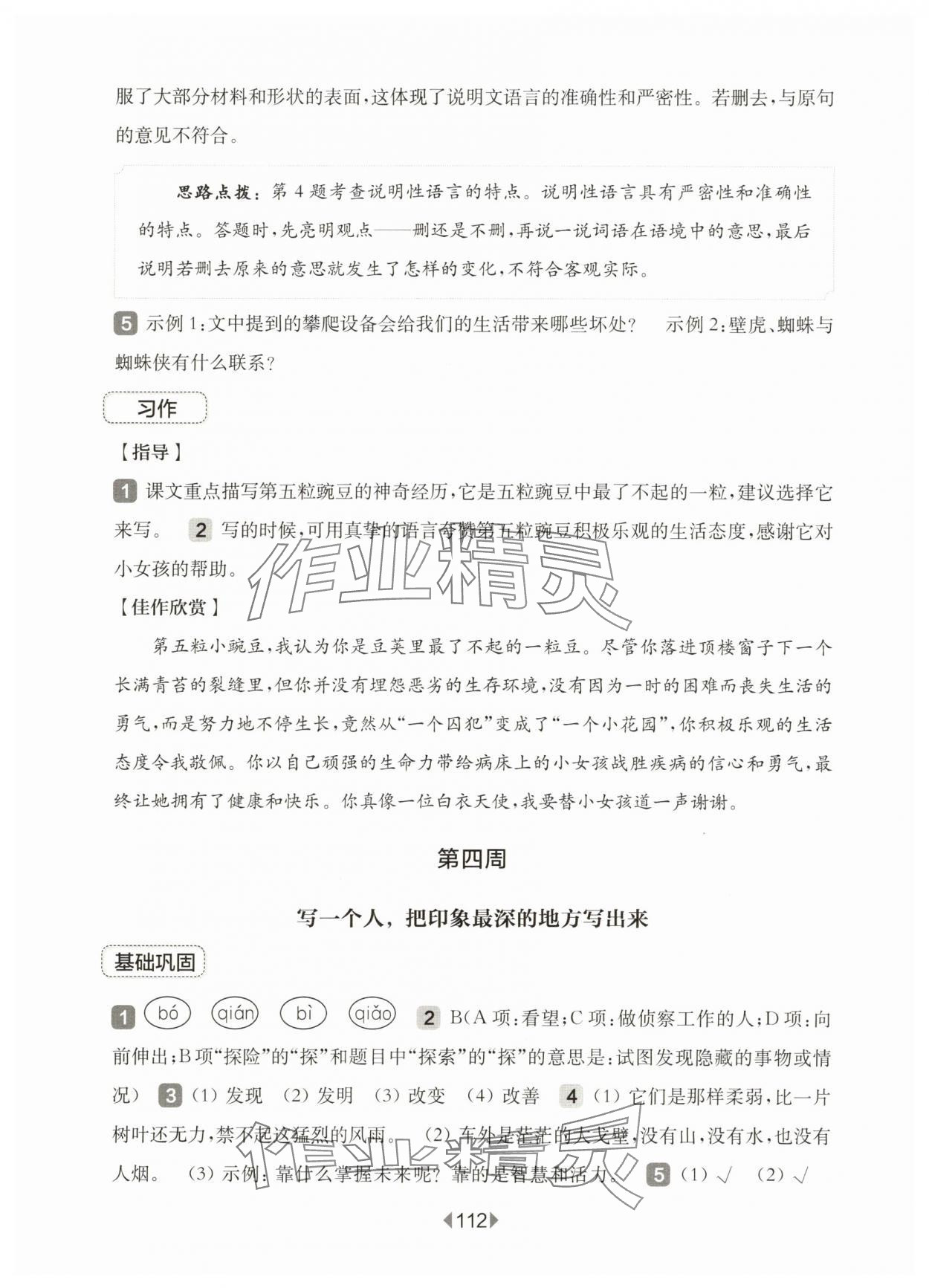 2025年華東師大版一課一練四年級(jí)語(yǔ)文上冊(cè)人教版54制增強(qiáng)版 第6頁(yè)