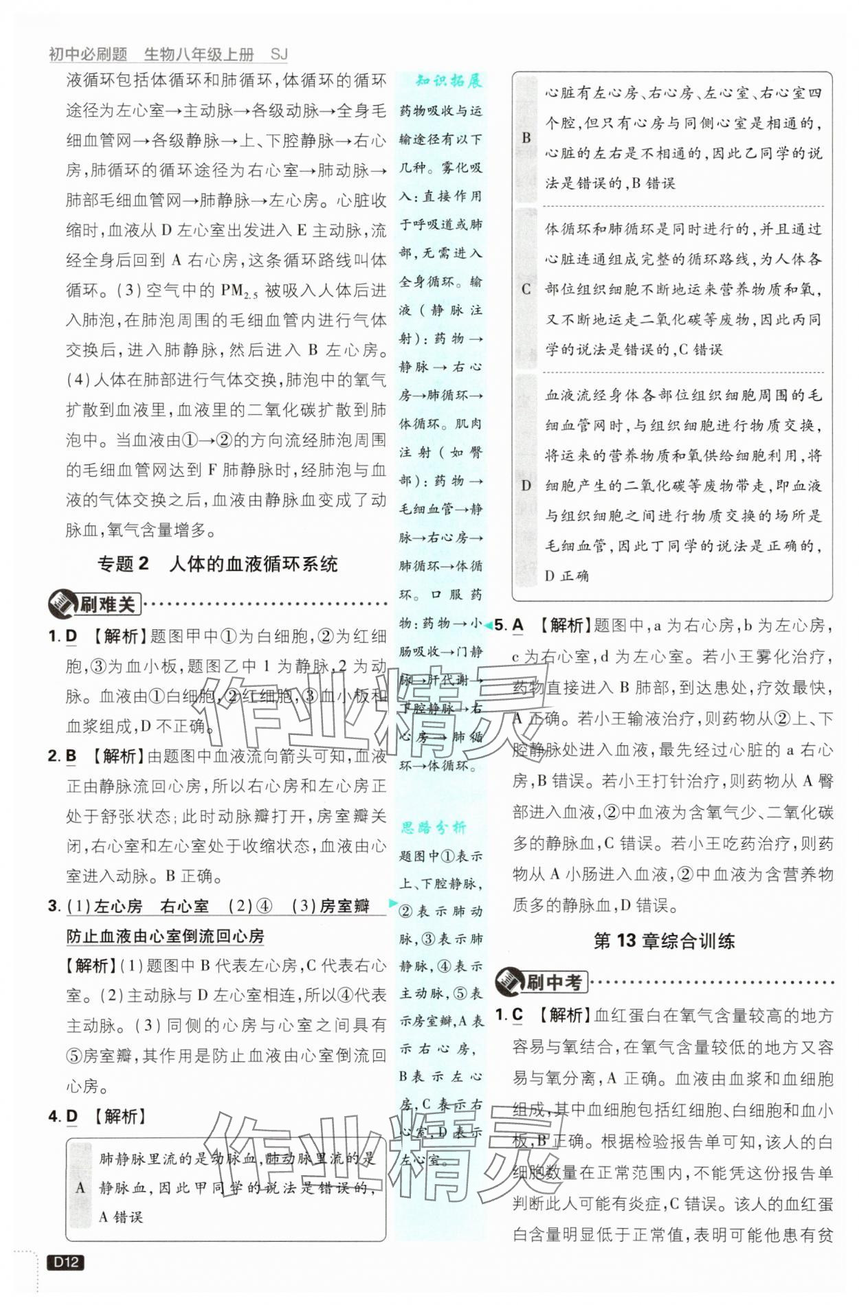 2025年初中必刷题八年级生物上册苏教版&nbsp;第12页