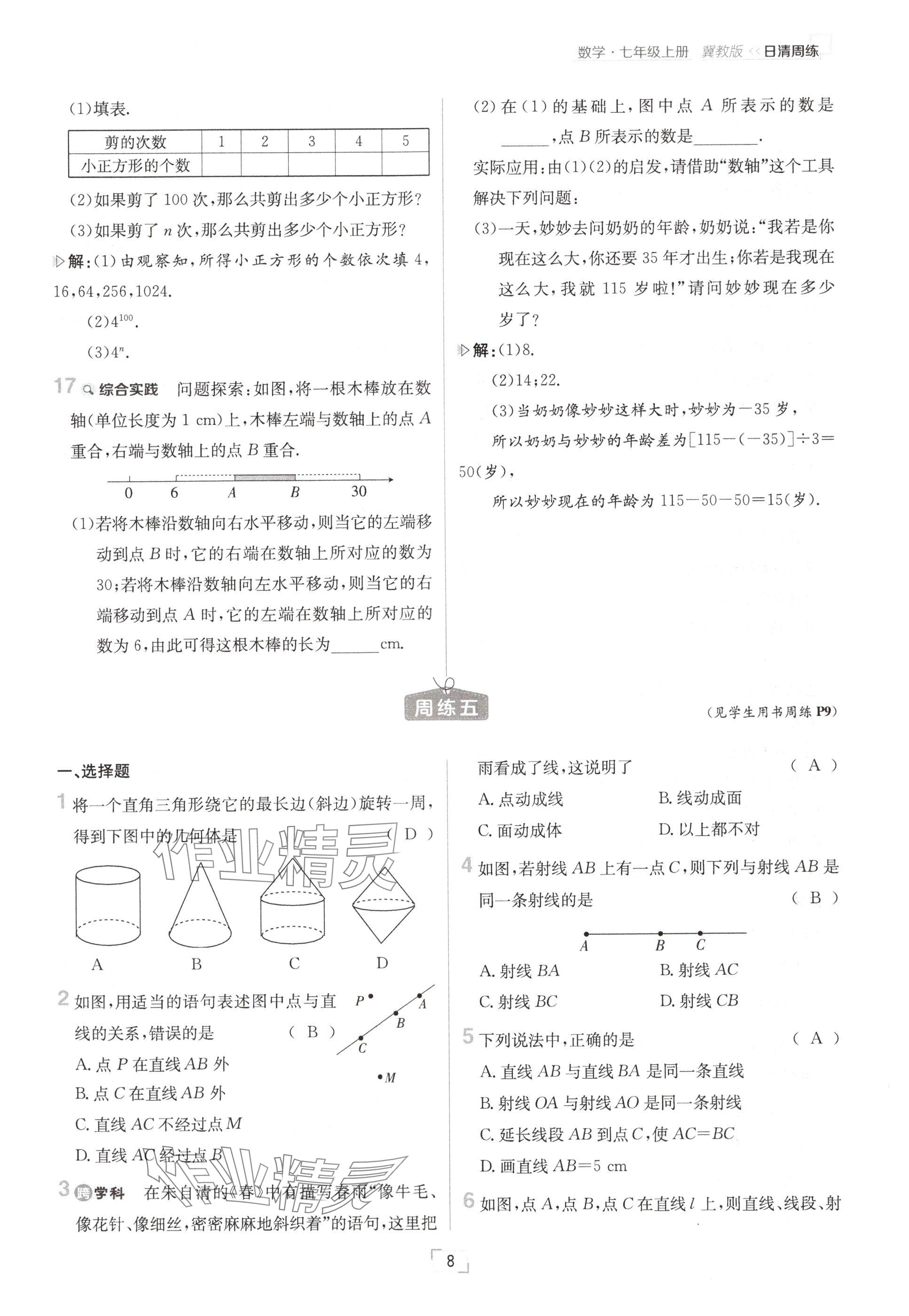 2024年日清周练七年级数学上册冀教版 参考答案第8页