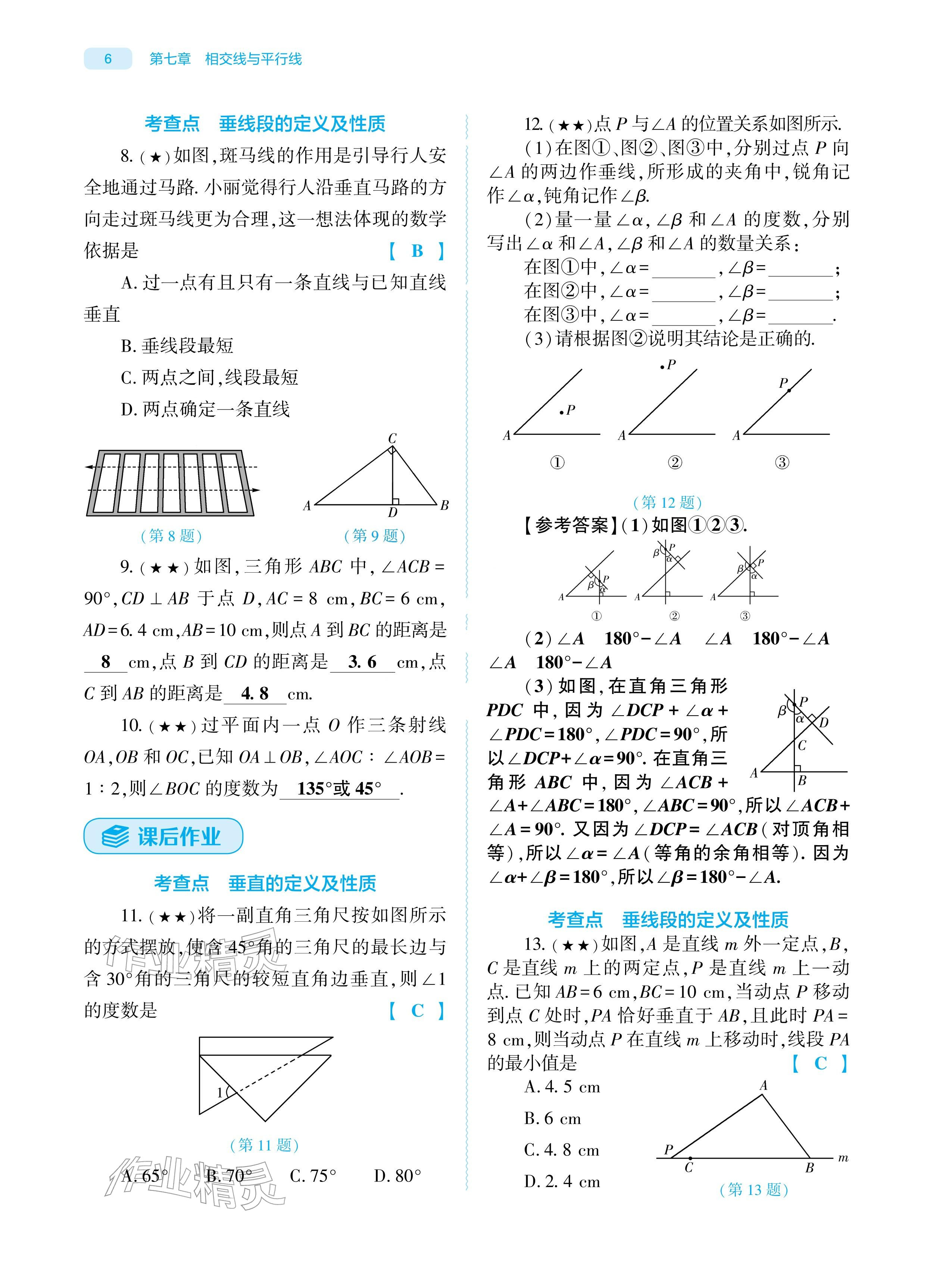 2026年基础训练大象出版社七年级数学下册人教版&nbsp;参考答案第6页