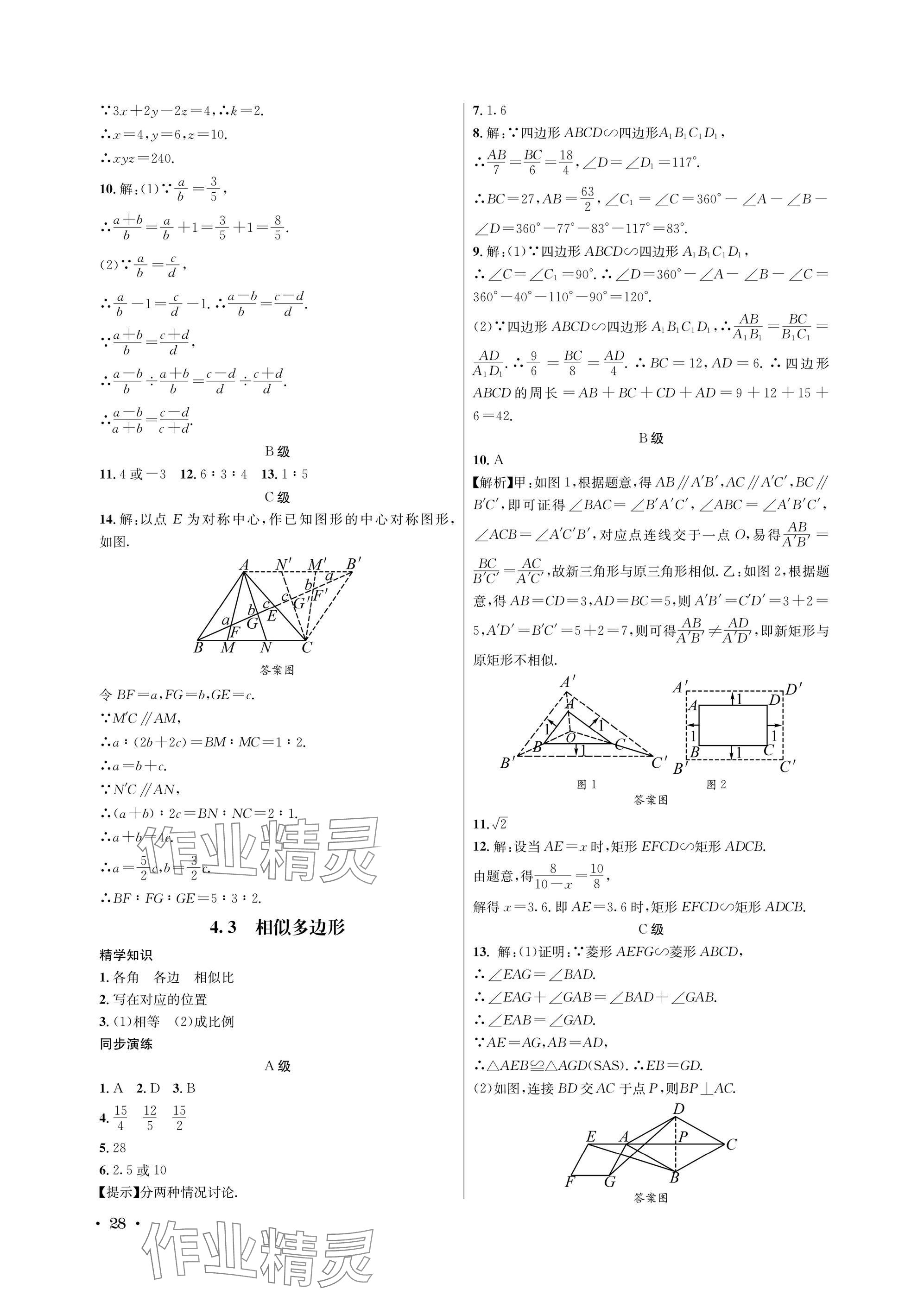 2025年蓉城学霸九年级数学全一册北师大版 参考答案第28页