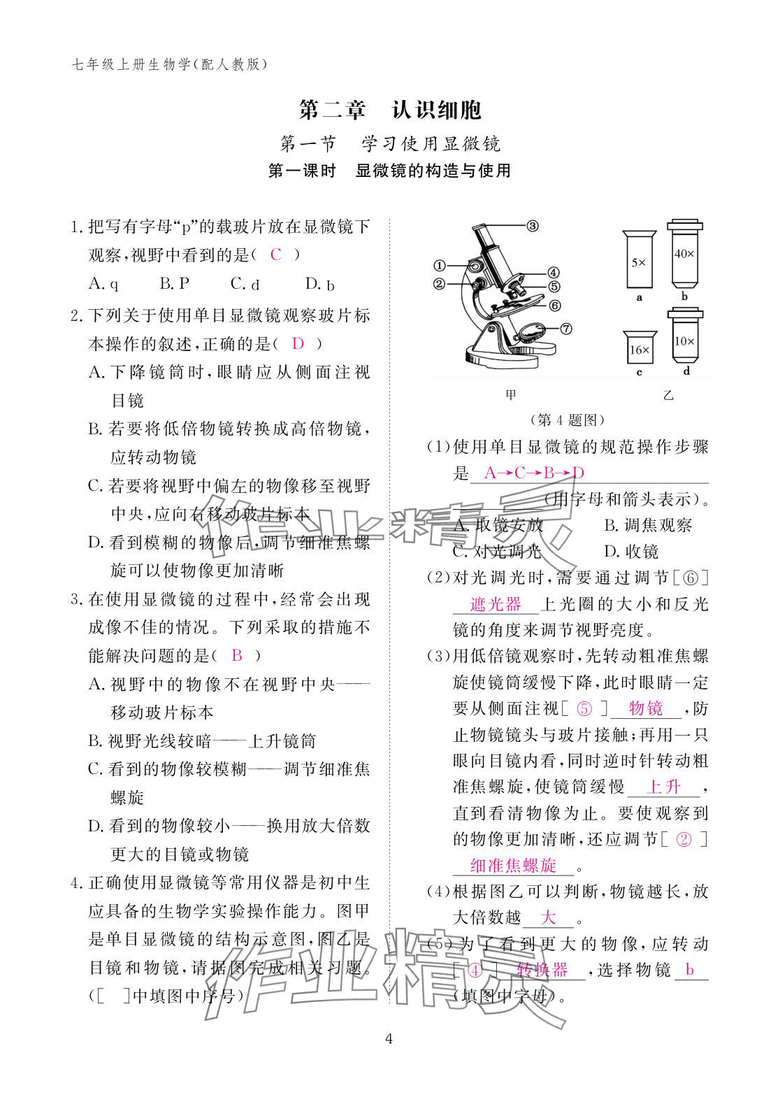 2025年作业本江西教育出版社七年级生物上册人教版 参考答案第4页