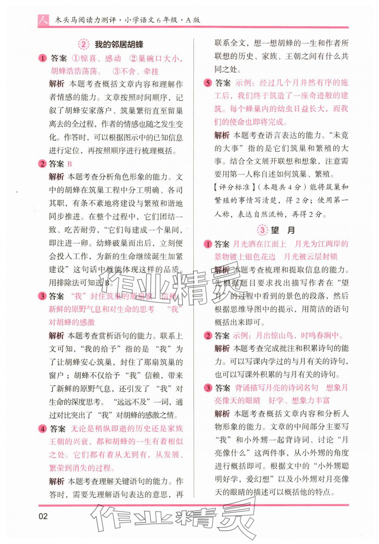 2025年木头马阅读力测评六年级语文A版 参考答案第2页