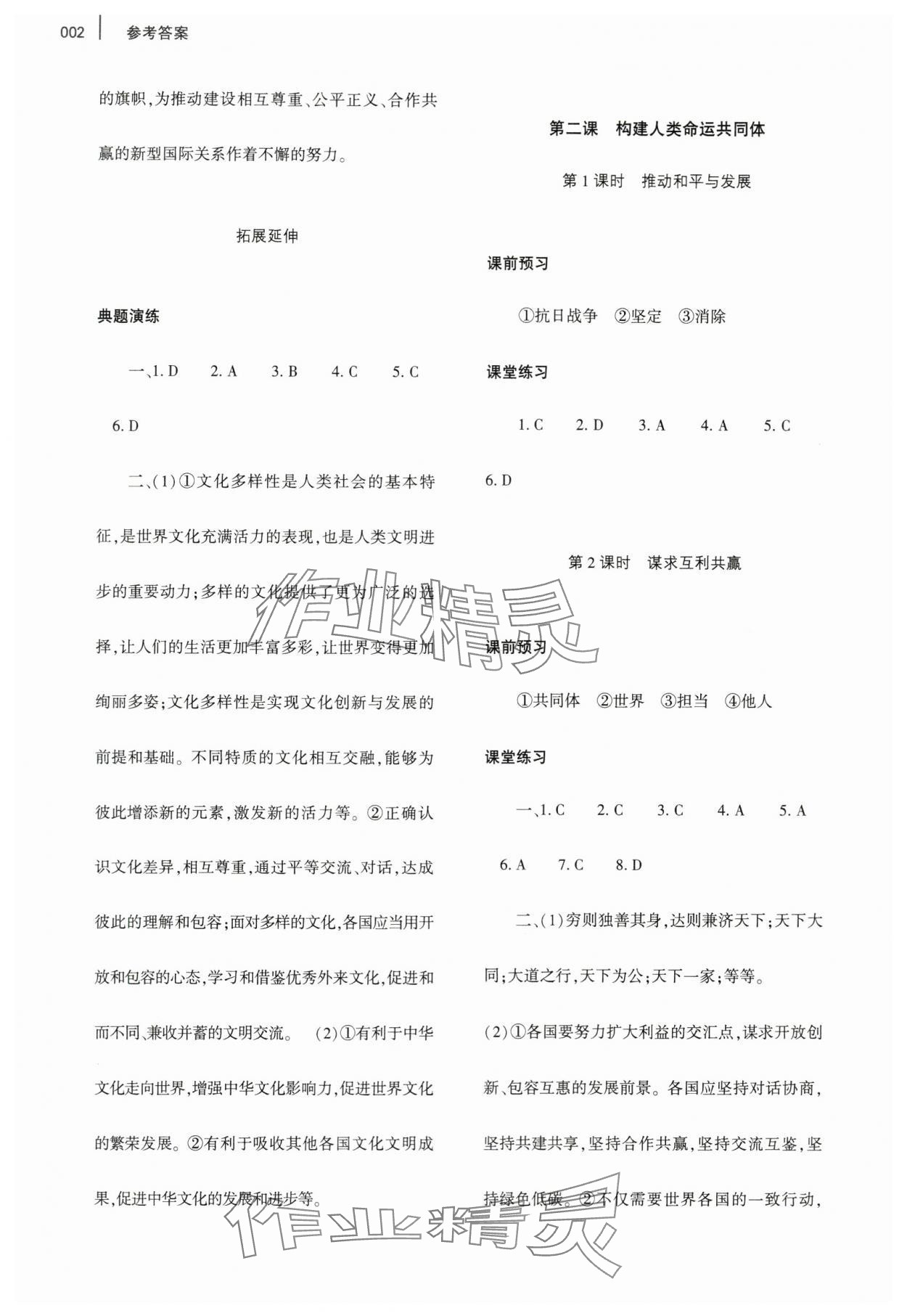 2024年基礎(chǔ)訓(xùn)練大象出版社九年級道德與法治下冊人教版 參考答案第2頁