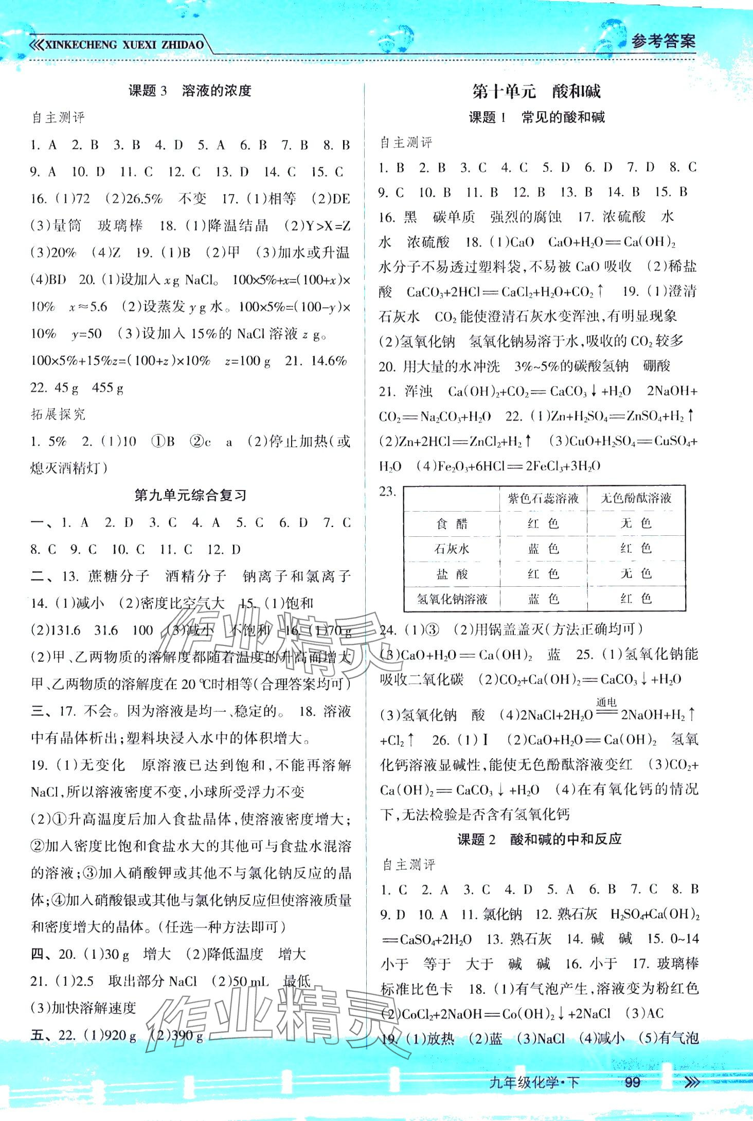 2024年新課程學(xué)習(xí)指導(dǎo)南方出版社九年級(jí)化學(xué)下冊(cè)海南專版 第3頁(yè)