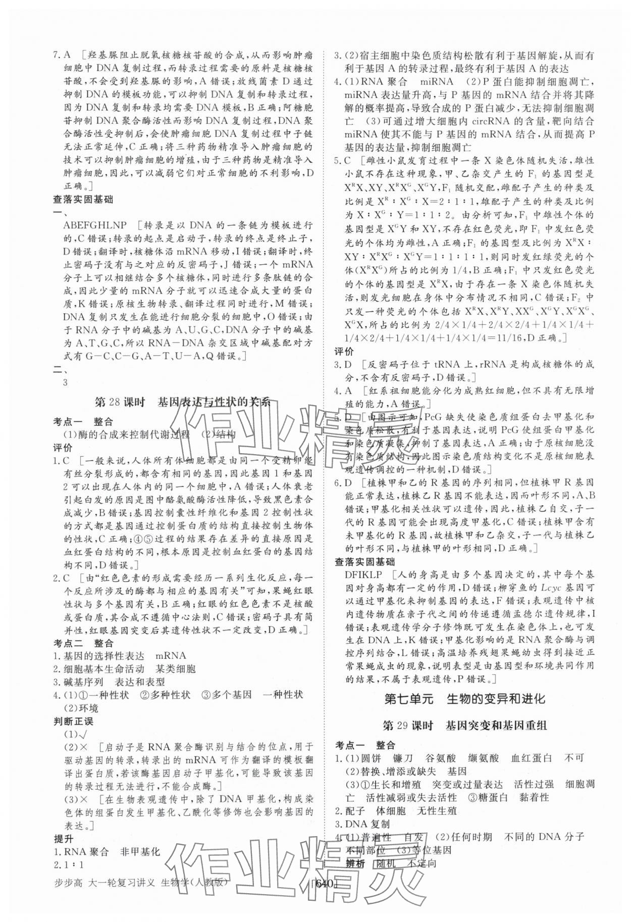2025年步步高大一輪復習講義高中生物 第32頁