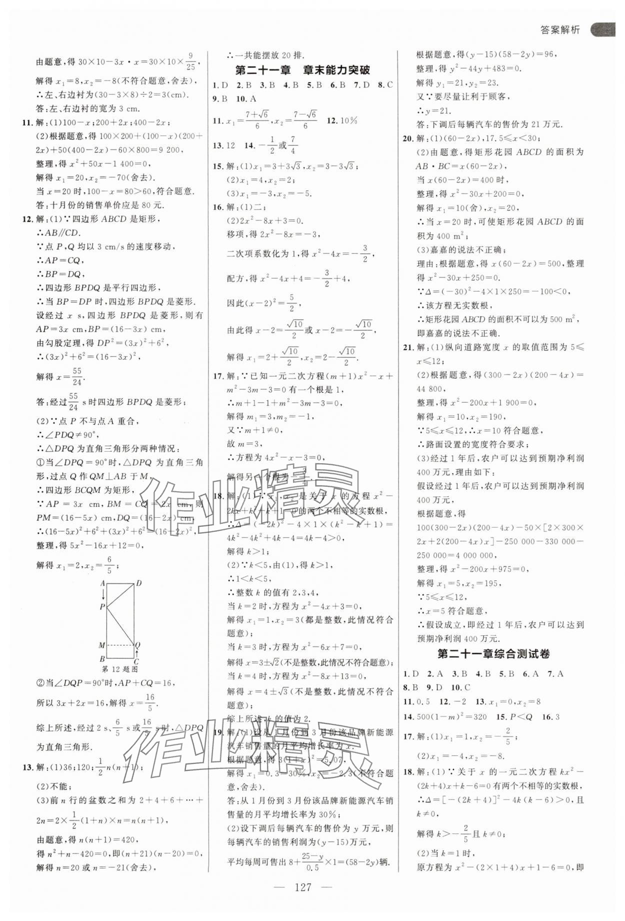 2025年細(xì)解巧練九年級(jí)數(shù)學(xué)上冊(cè)人教版 第3頁