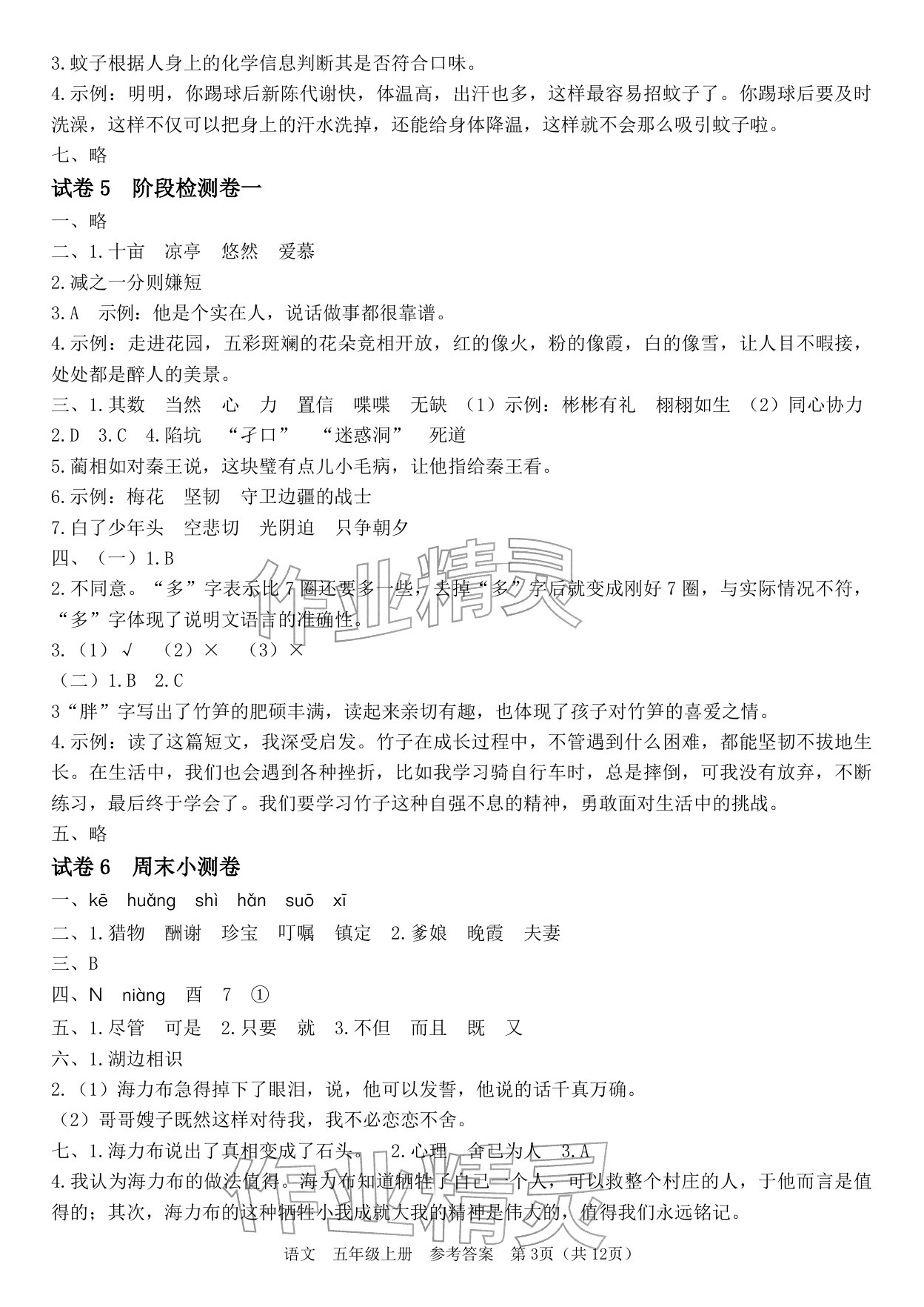 2025年四清活页卷五年级语文上册人教版&nbsp;参考答案第3页