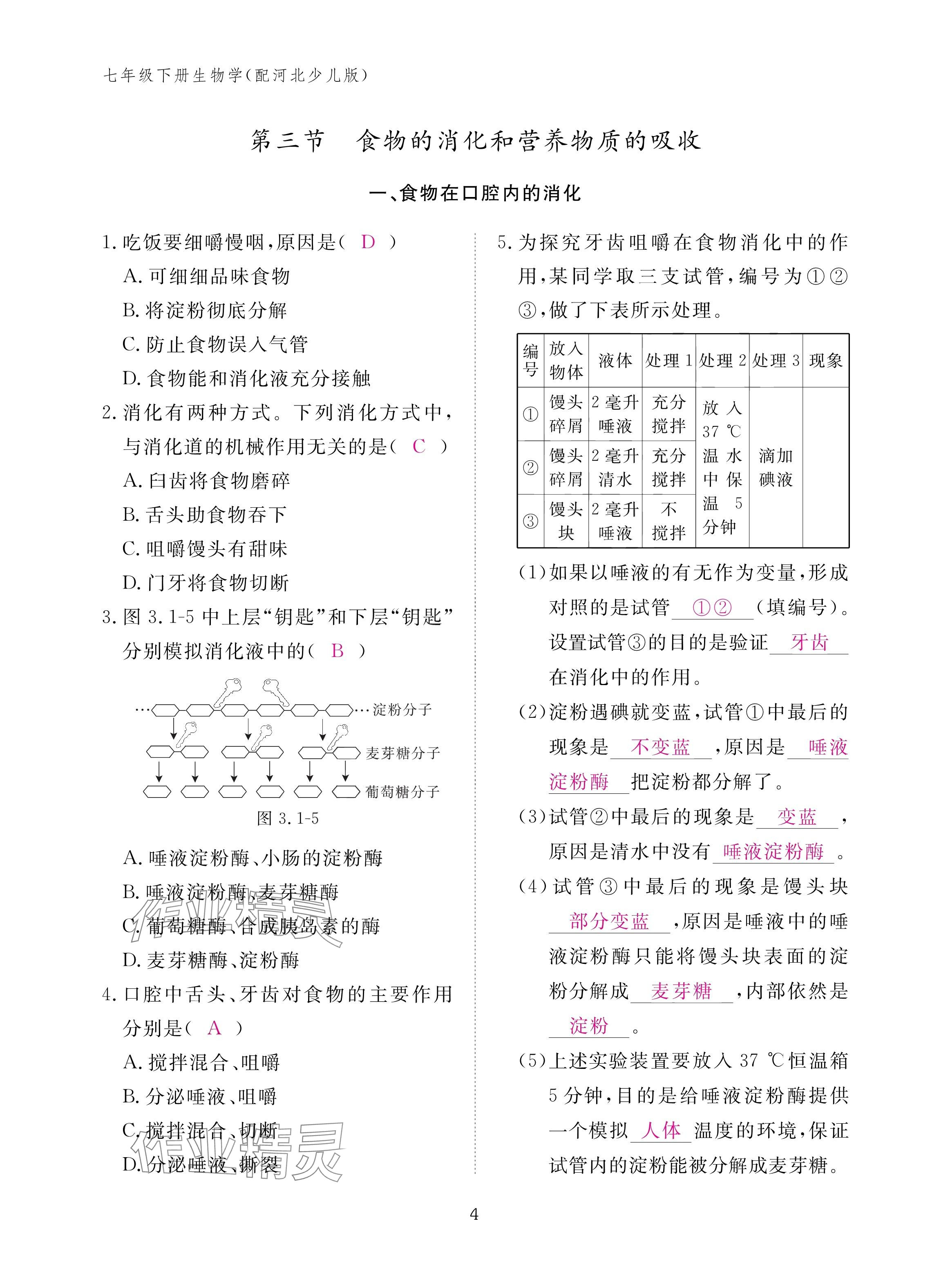 2025年作業(yè)本江西教育出版社七年級生物下冊冀少版 參考答案第4頁