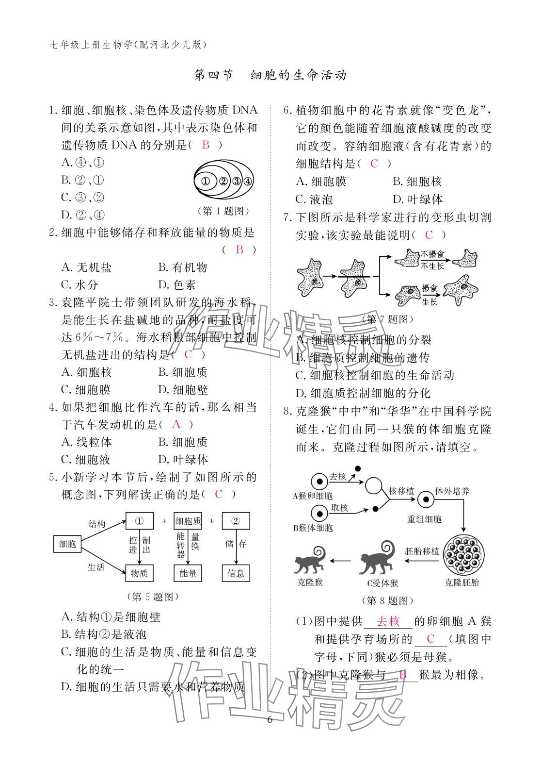 2025年作业本江西教育出版社七年级生物上册冀少版 参考答案第6页