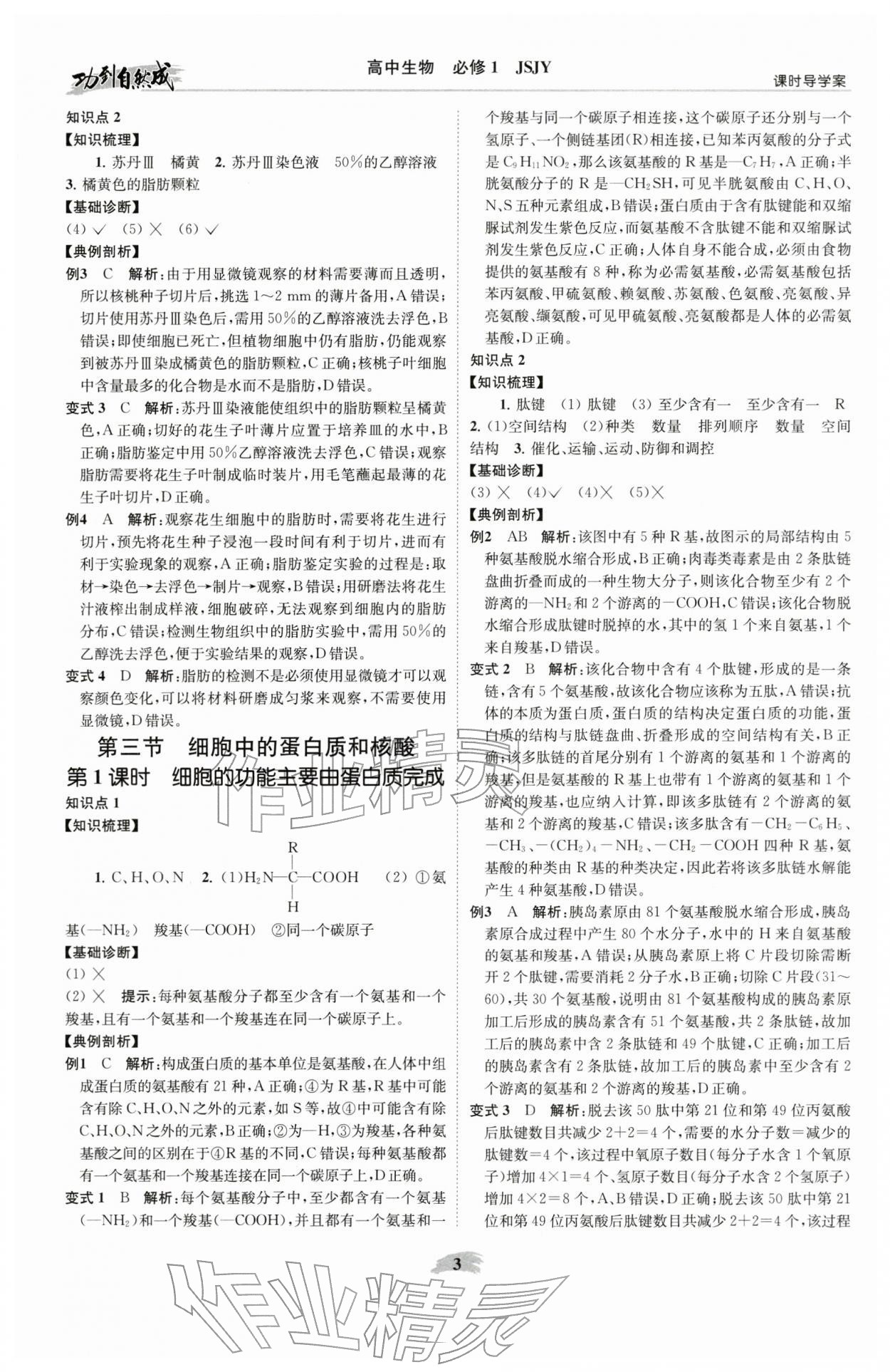 2025年功到自然成课时导学案高中生物必修1苏教版 参考答案第3页
