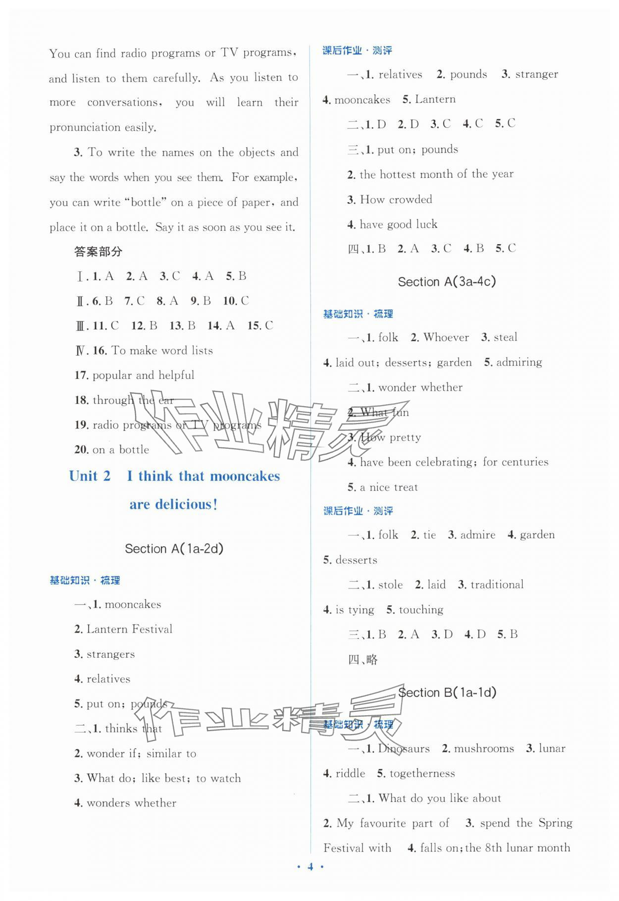 2025年同步解析与测评学考练九年级英语全一册人教版&nbsp;第4页