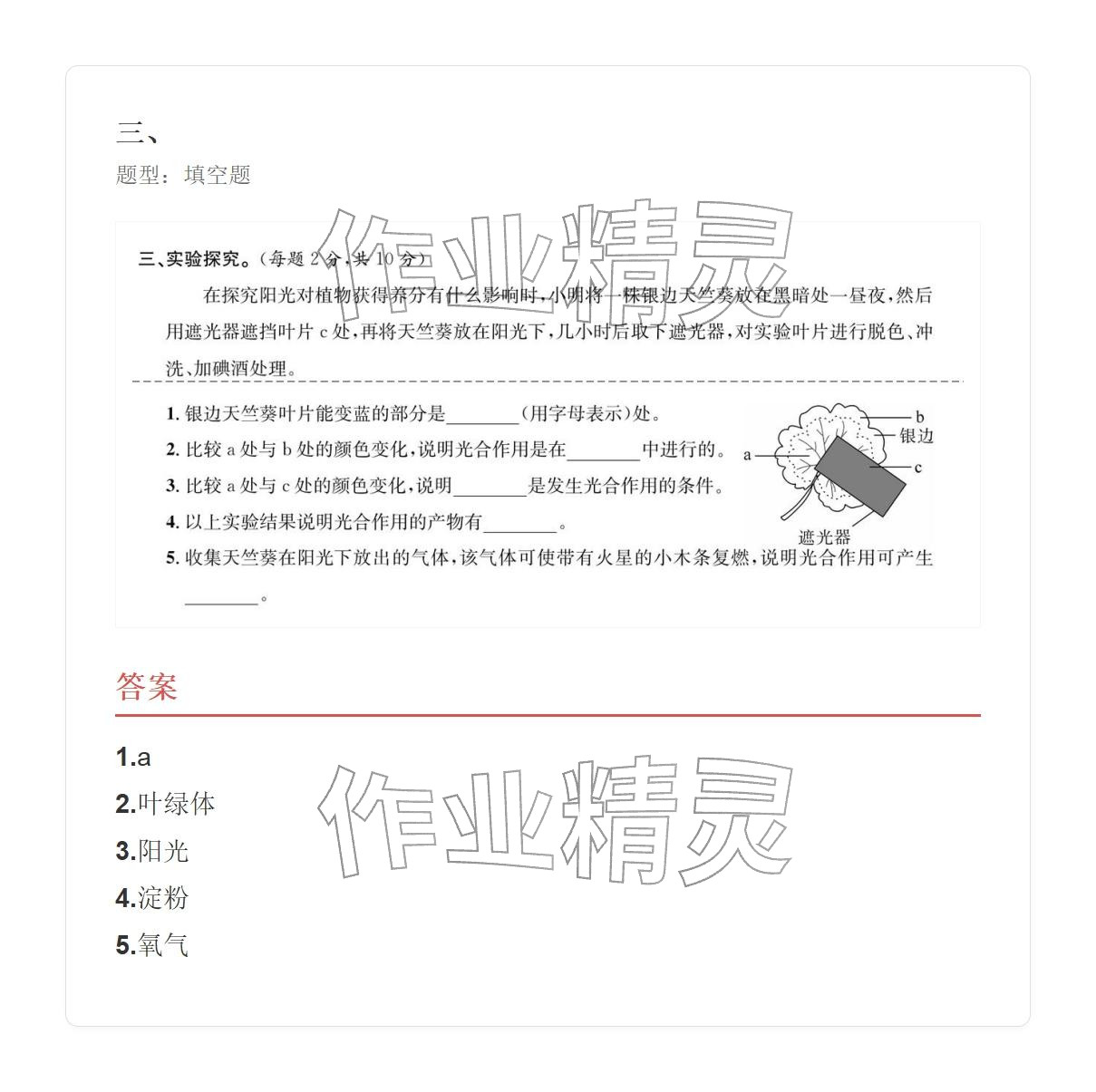 2025年學業水平評價六年級科學上冊 參考答案第38頁