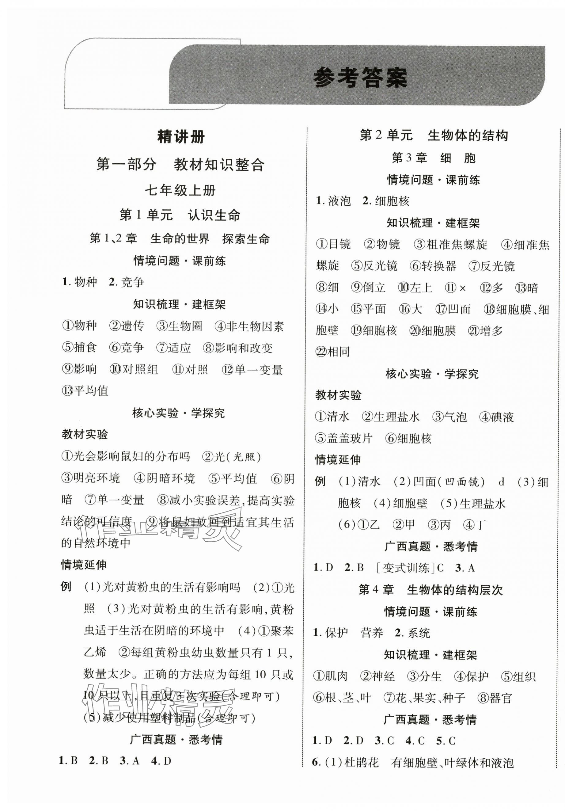 2025年優化指導生物北師大版廣西專版 第1頁