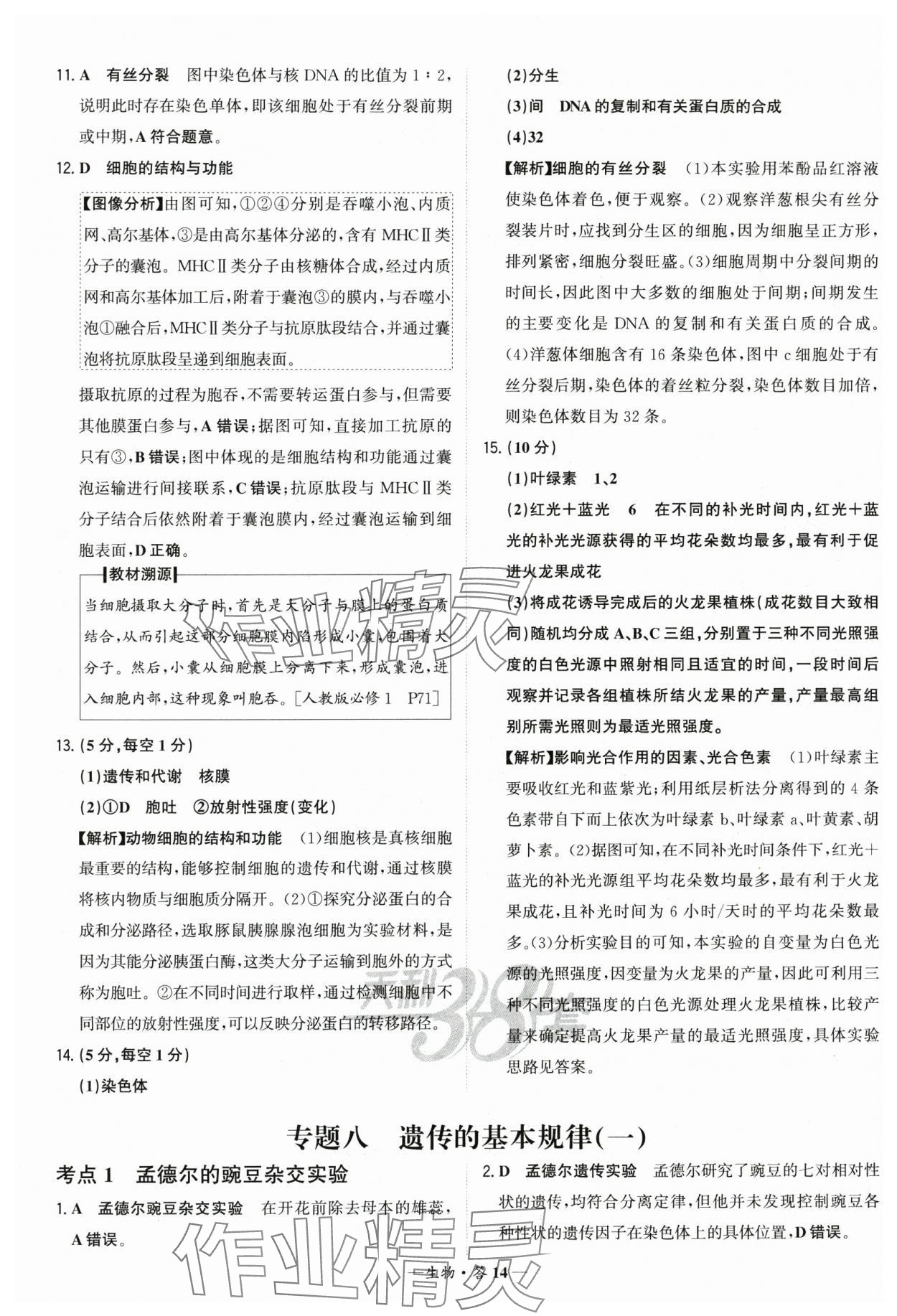 2026年天利38套常考基礎題生物 第14頁