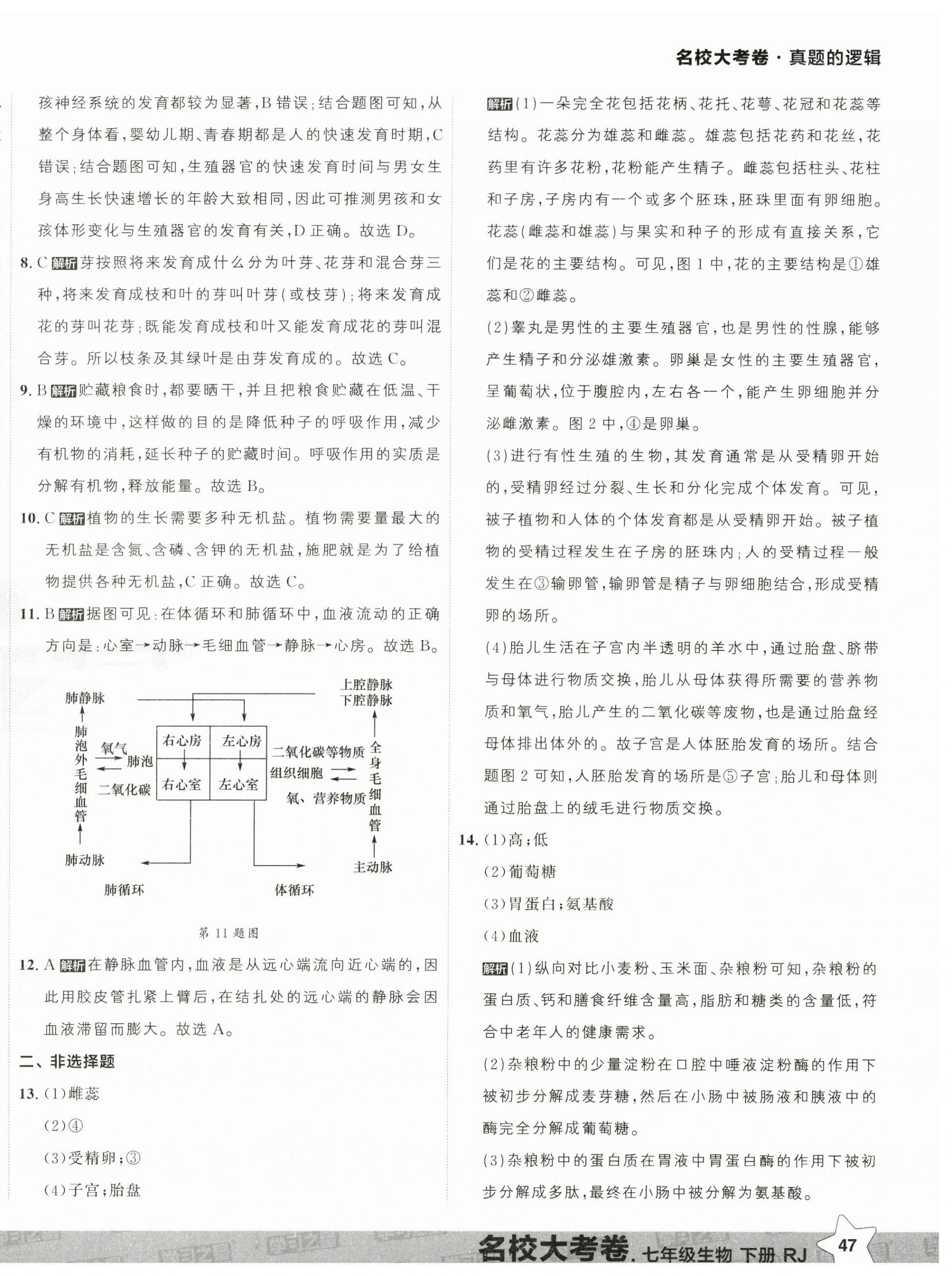 2025年名校大考卷七年級生物下冊人教版大連專版 第14頁