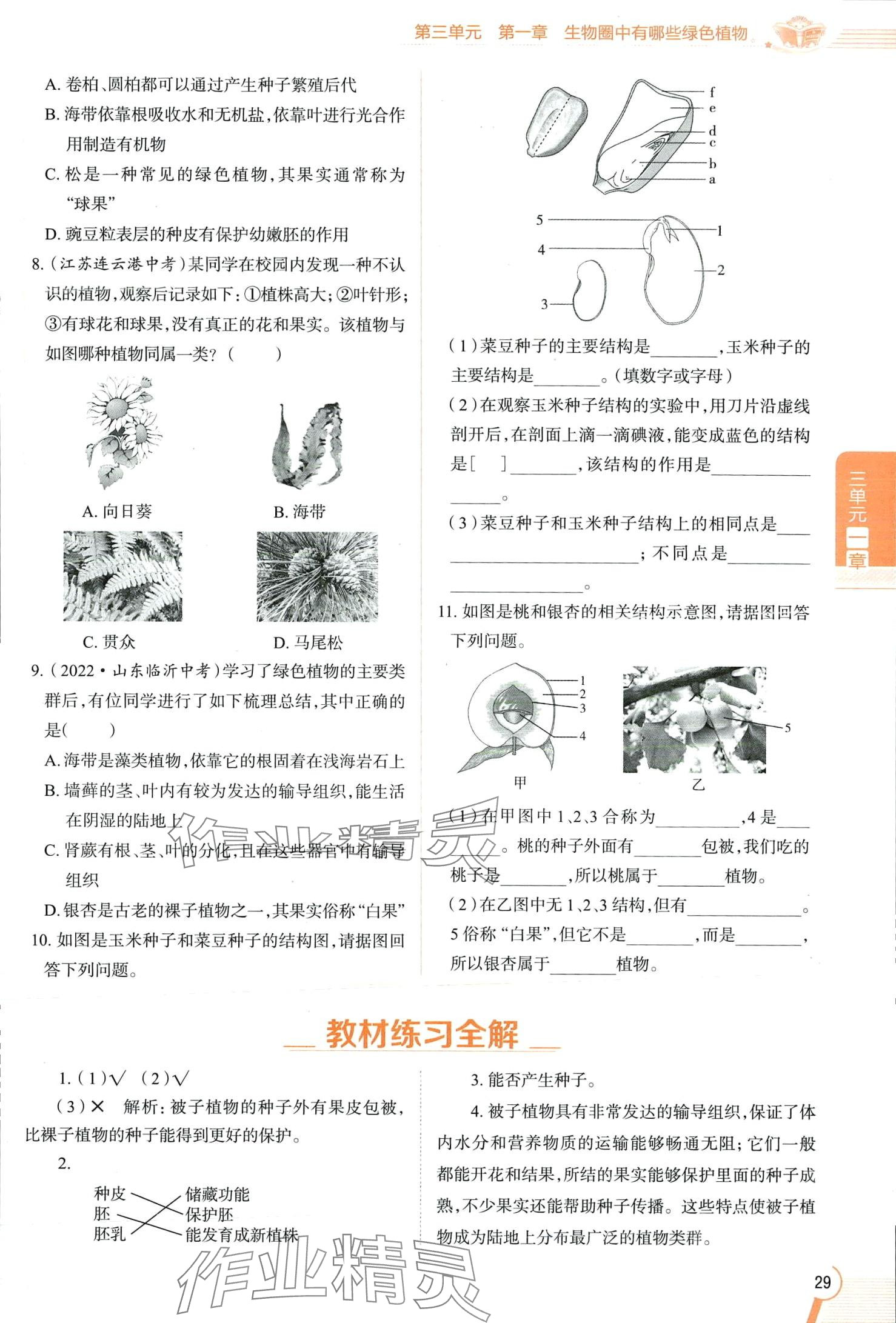 2024年教材課本六年級(jí)生物下冊(cè)魯科版 第29頁(yè)