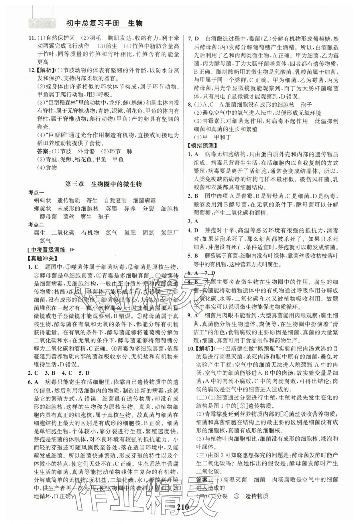 2024年初中總復習手冊生物山東畫報出版社 參考答案第5頁