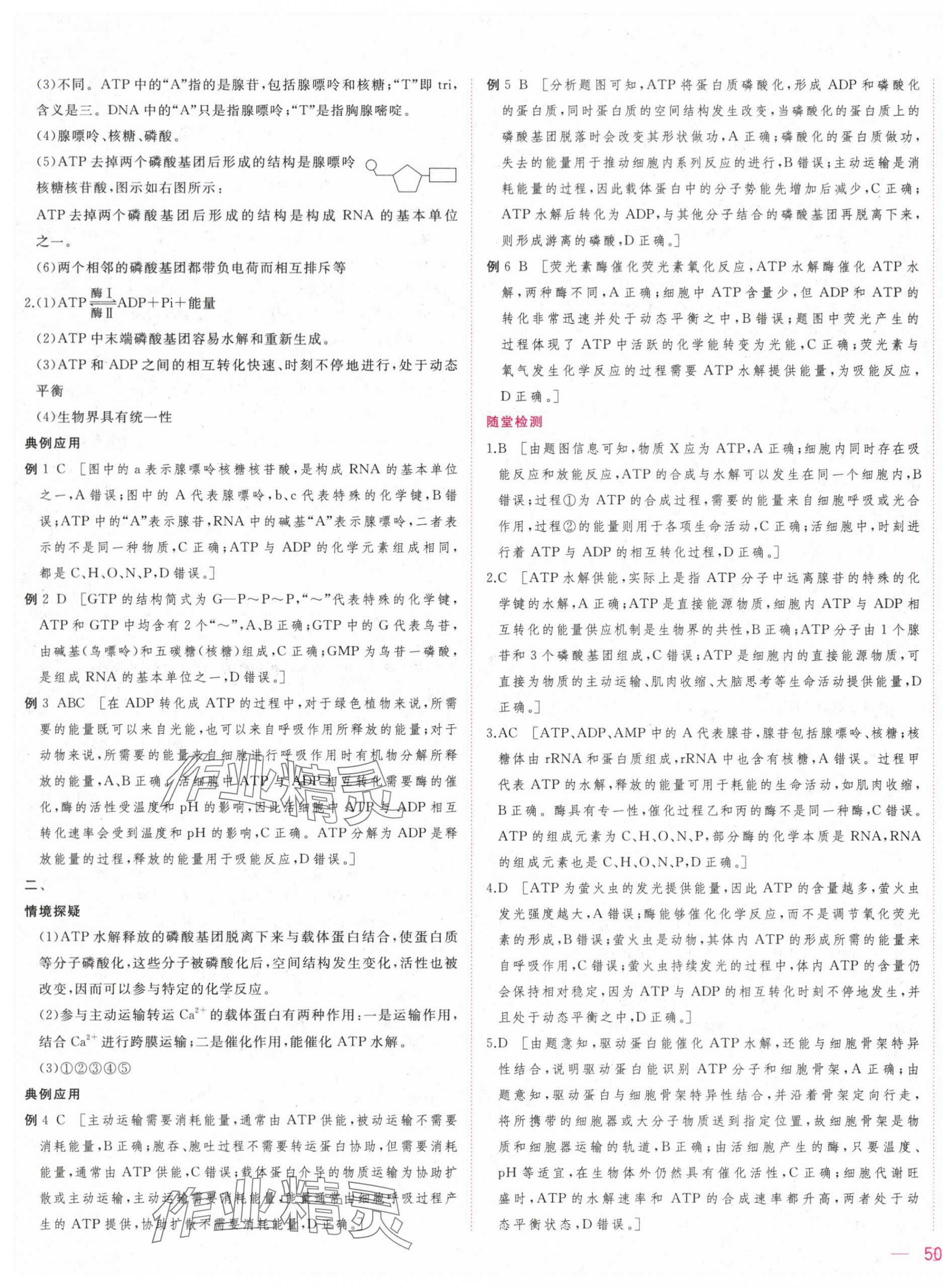 2025年三維隨堂精練高中生物必修1人教版 第19頁