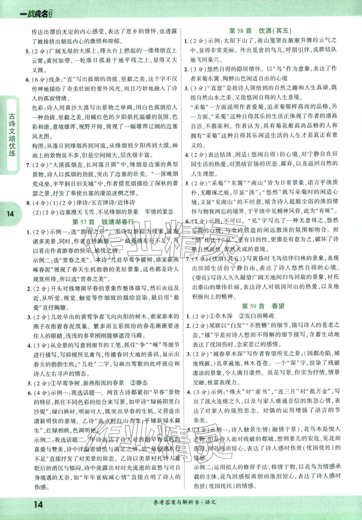2026年纯练版总复习九年级语文全一册人教版&nbsp;第14页