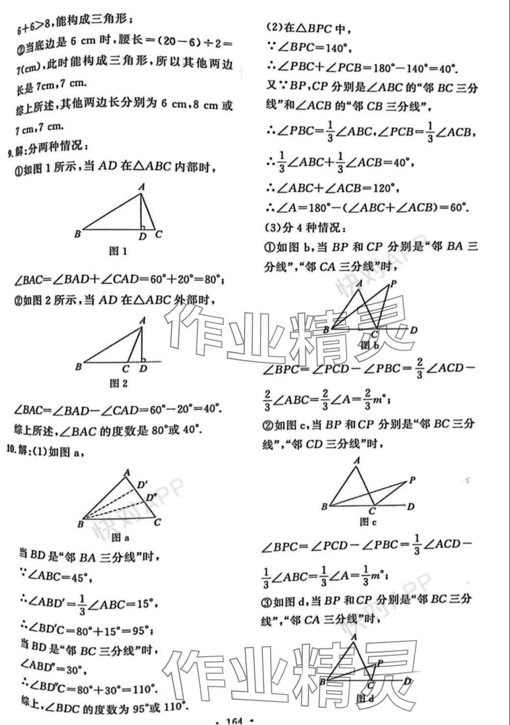 2023年实验教材新学案八年级数学上册人教版 参考答案第6页