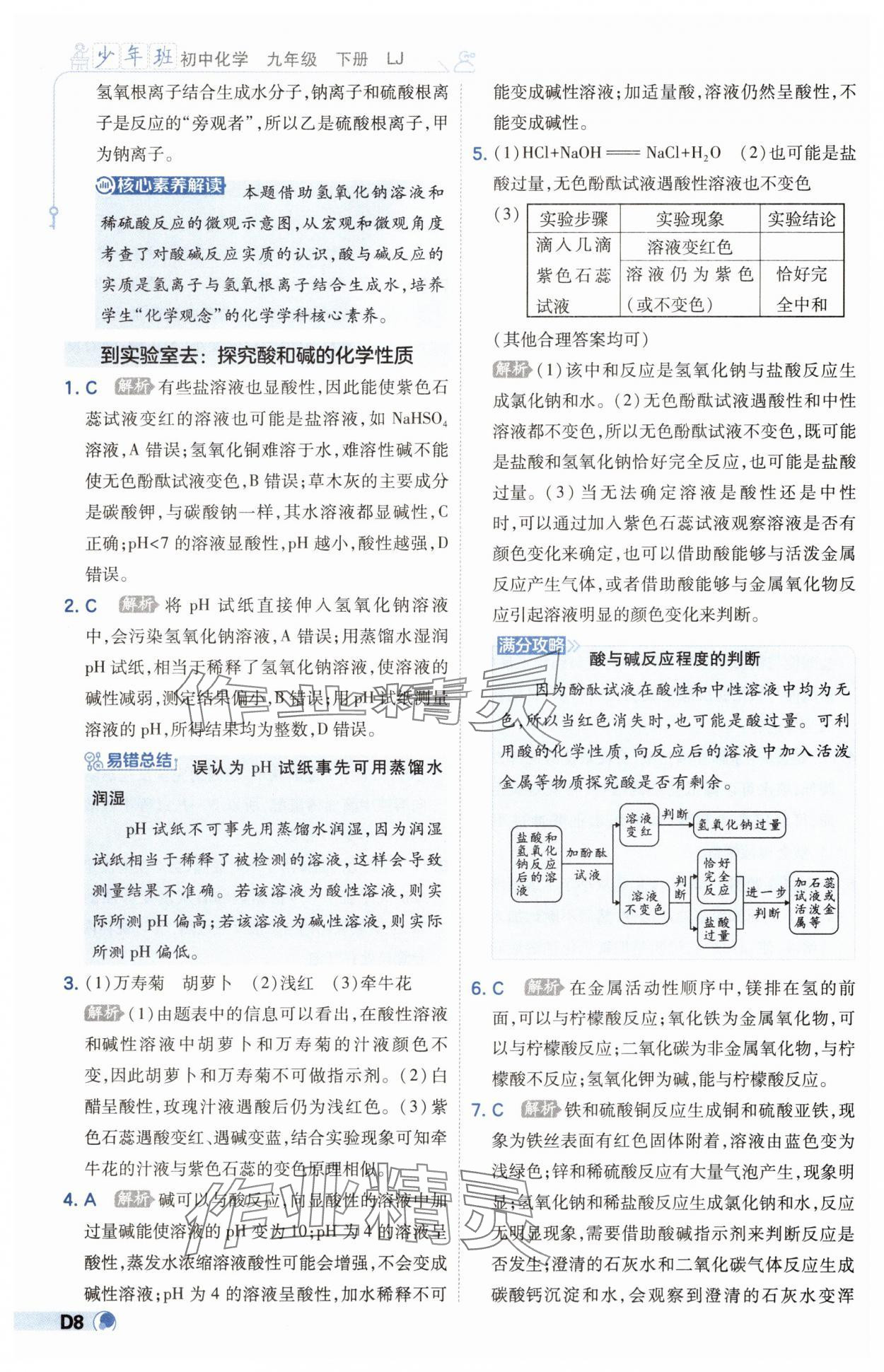 2025年少年班九年級化學下冊魯教版 參考答案第8頁