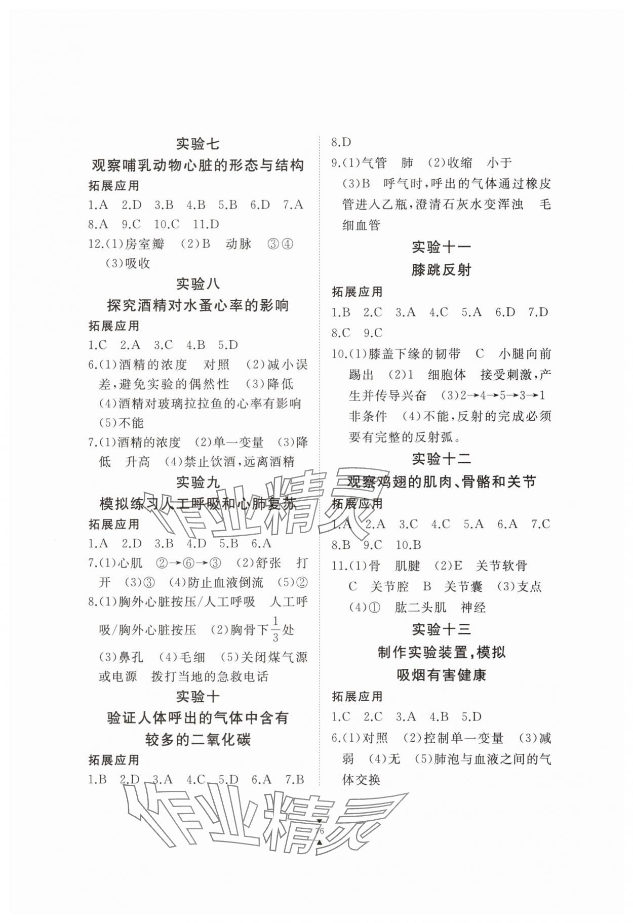 2025年实验报告册江西教育出版社七年级生物下册冀少版 第2页