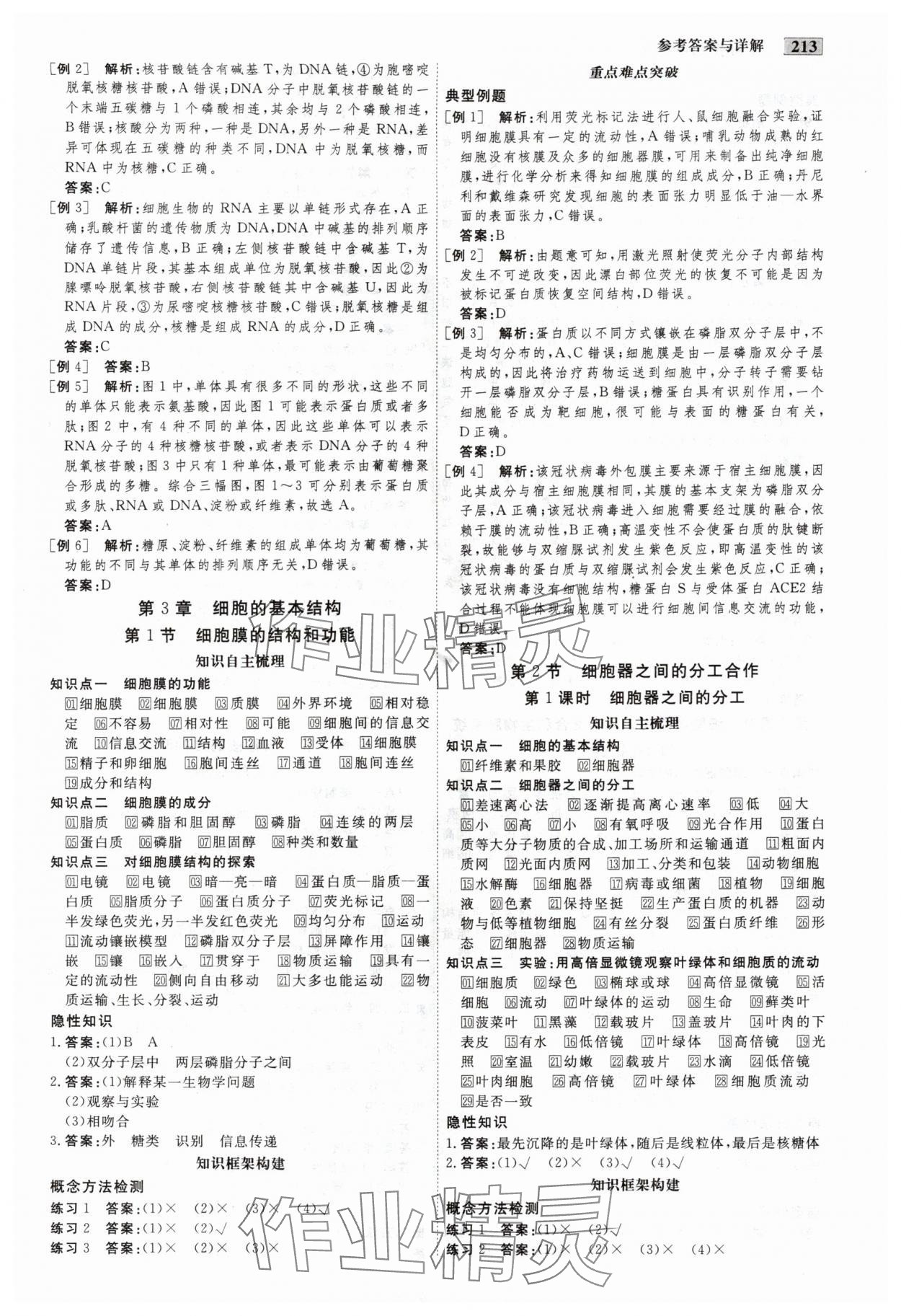 2025年金版教程高中新课程创新导学案高中生物必修1人教版 第4页