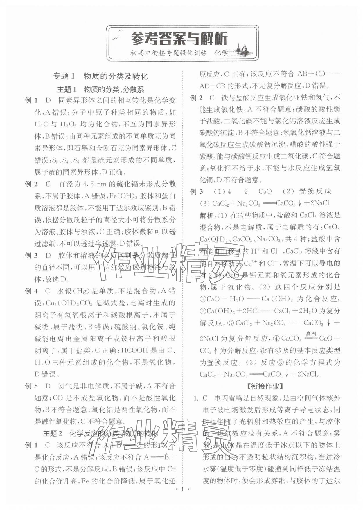 2025年初高中衔接专题强化训练化学延边大学出版社 第1页