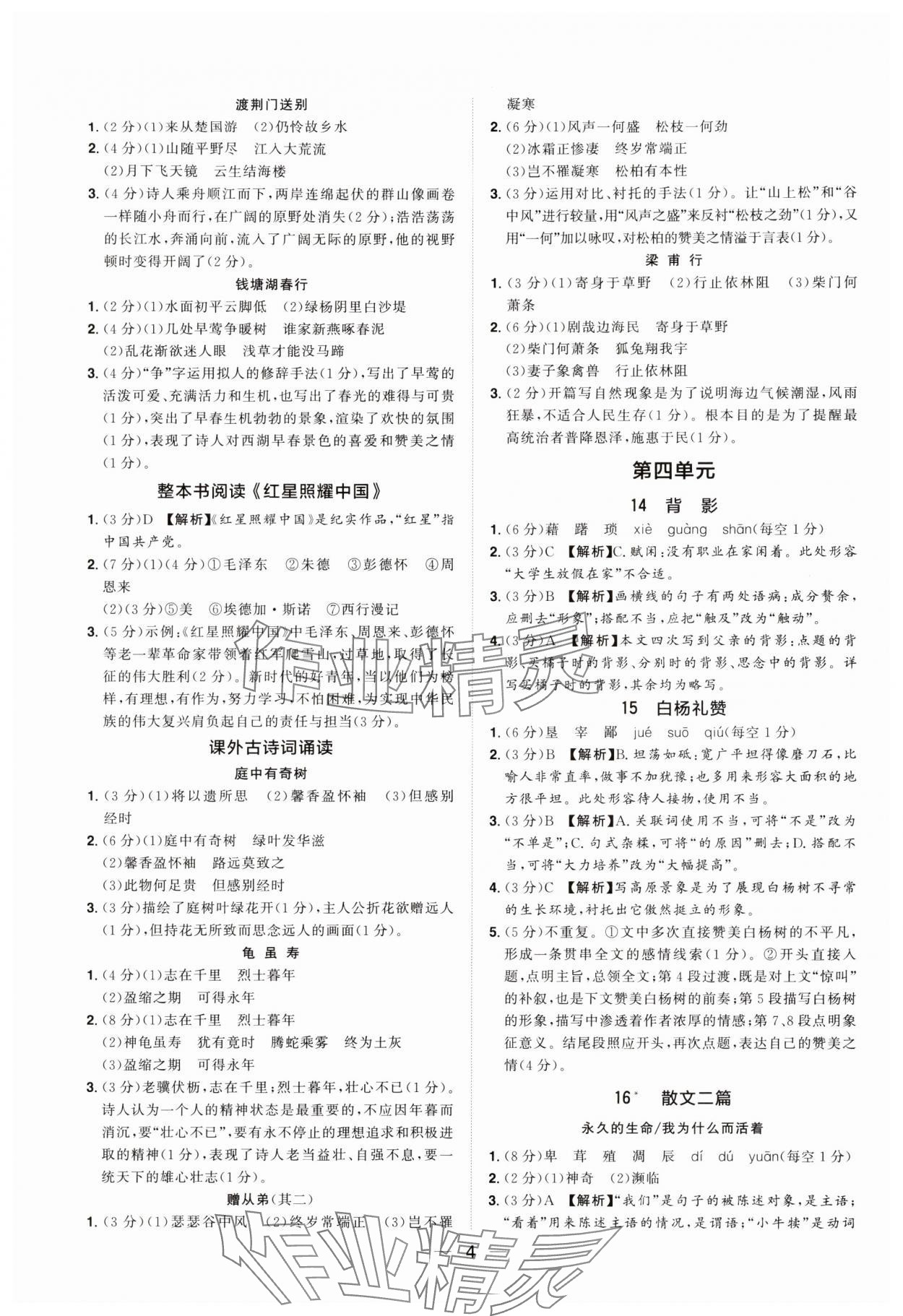 2024年陽光同學分層設計八年級語文上冊人教版福建專版 參考答案第3頁