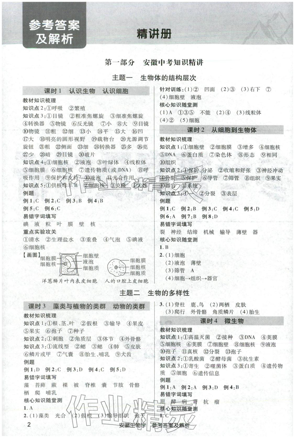 2026年安徽新中考生物 第1页