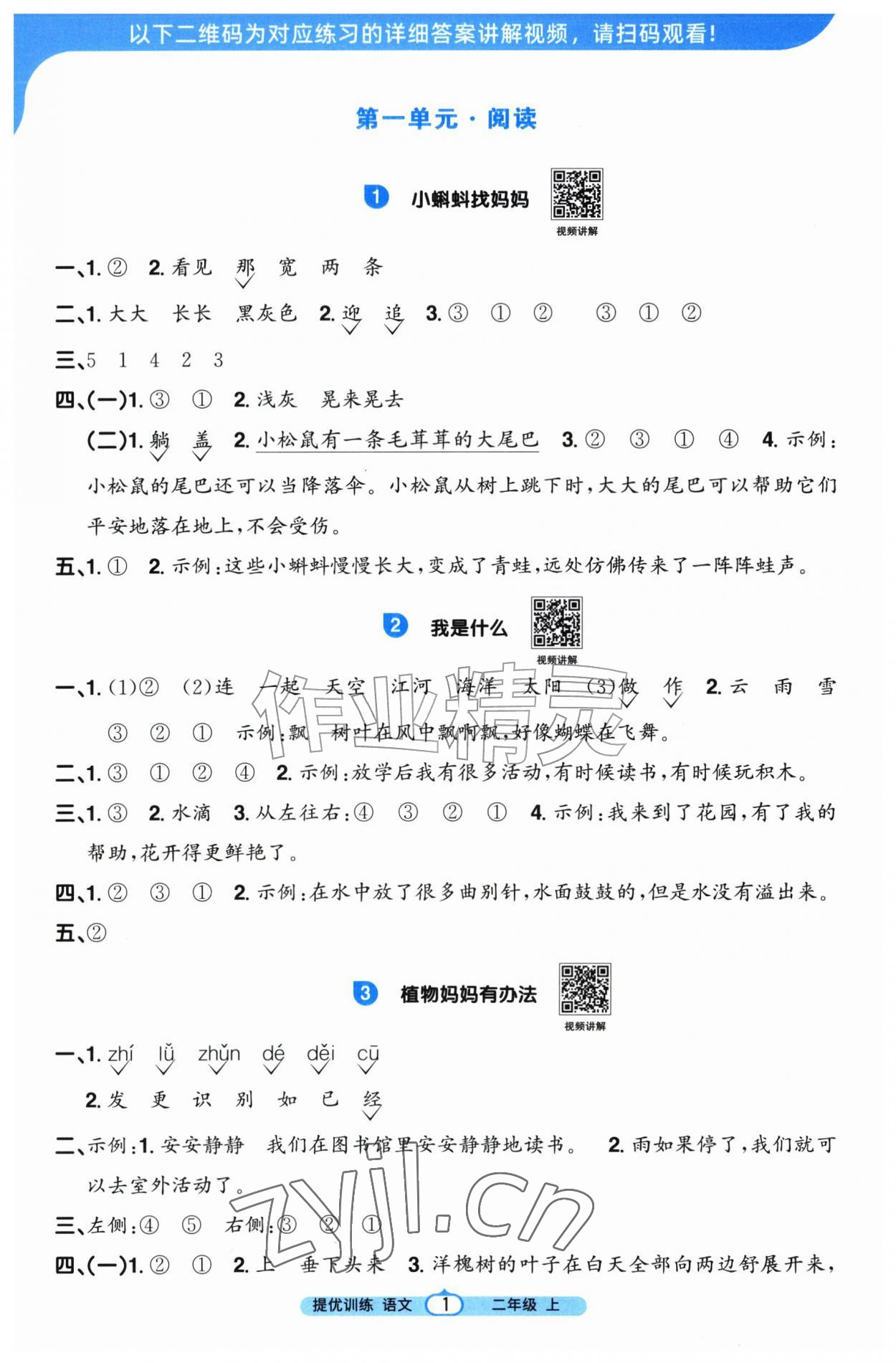 2026年阳光同学课时提优训练二年级语文上册人教版&nbsp;第1页