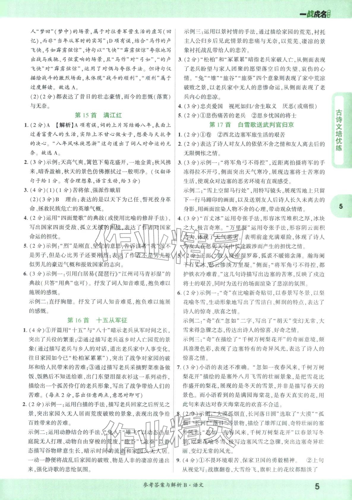 2026年纯练版总复习九年级语文全一册人教版&nbsp;第5页