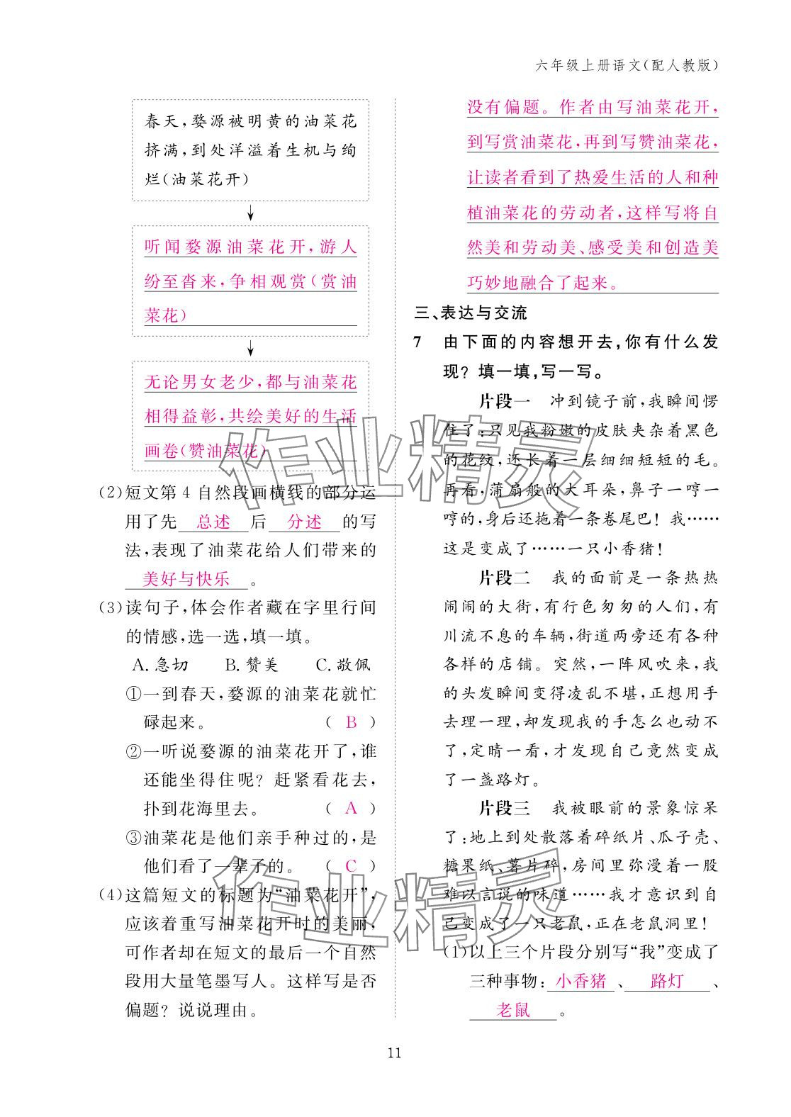 2025年作业本江西教育出版社六年级语文上册人教版 参考答案第11页