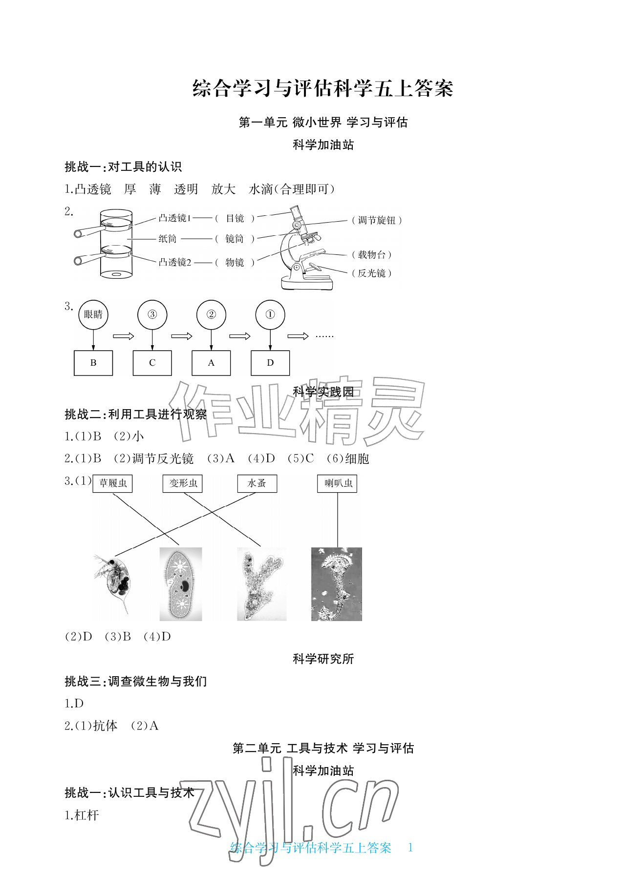 2026年综合学习与评估五年级科学上册教科版&nbsp;参考答案第1页