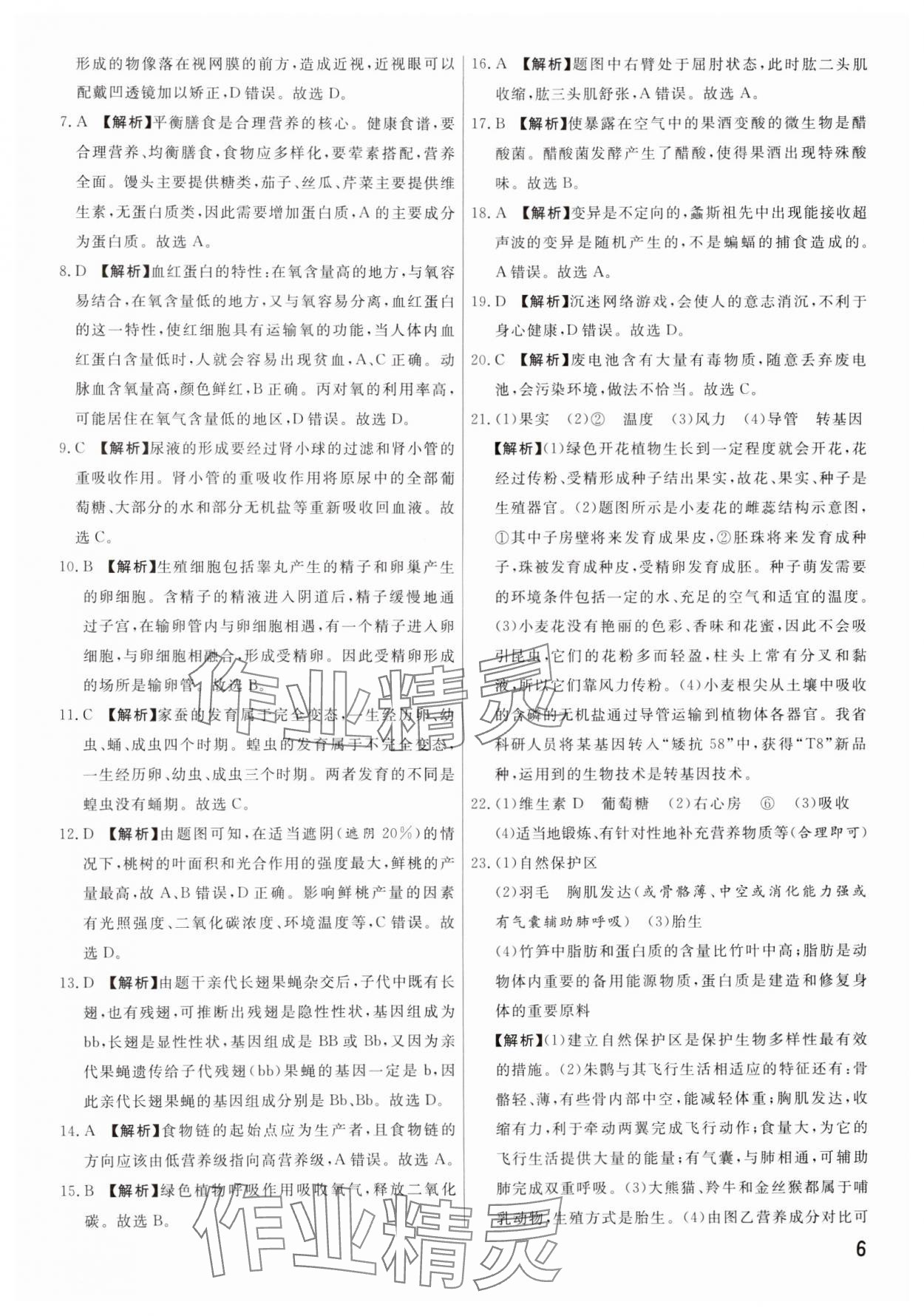 2025年新一線必刷卷生物河南專版 參考答案第6頁(yè)